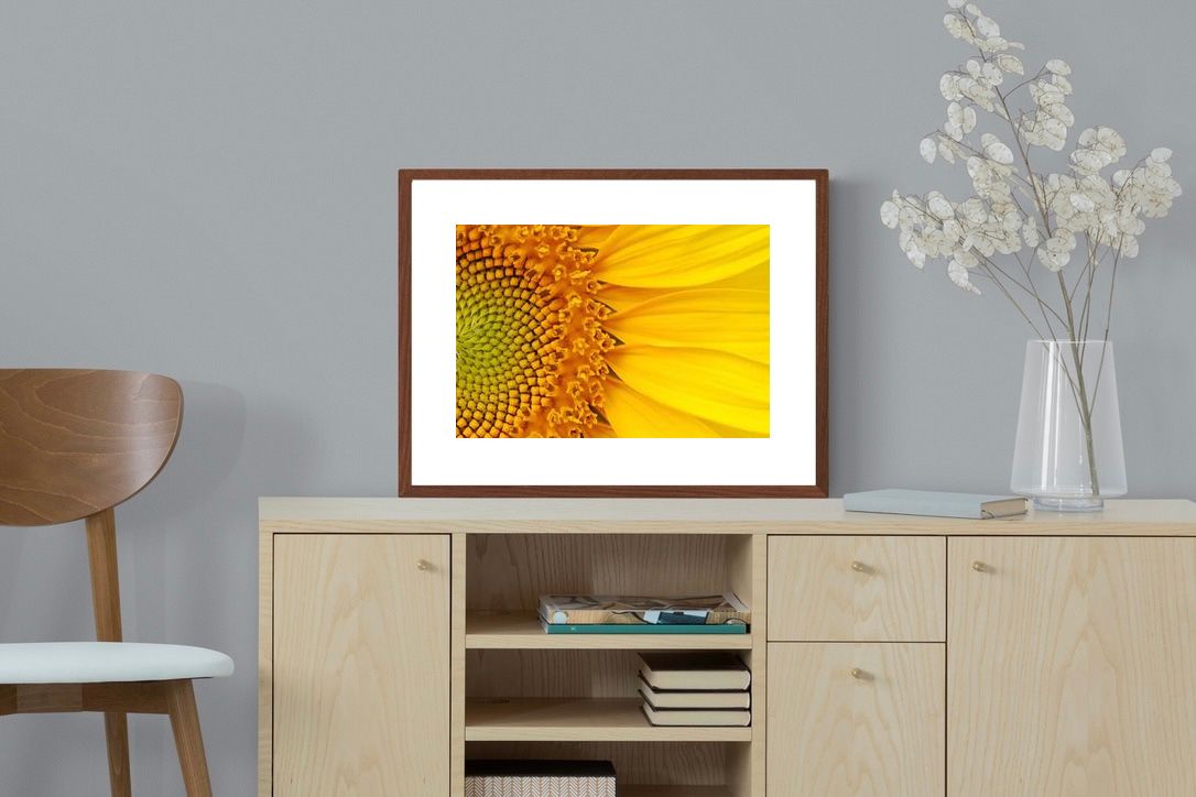 Pixalot ® Radiant Sunflower