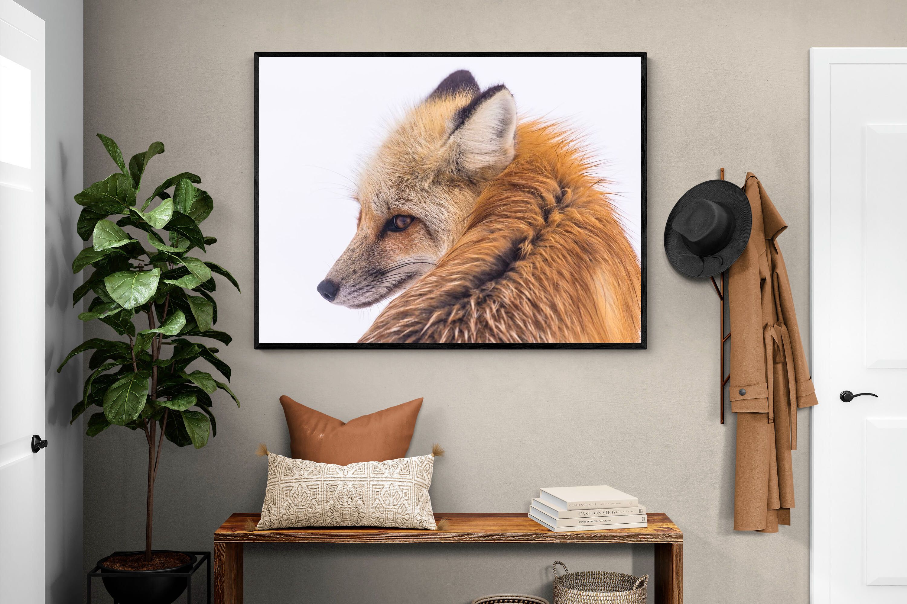Pixalot Red Fox