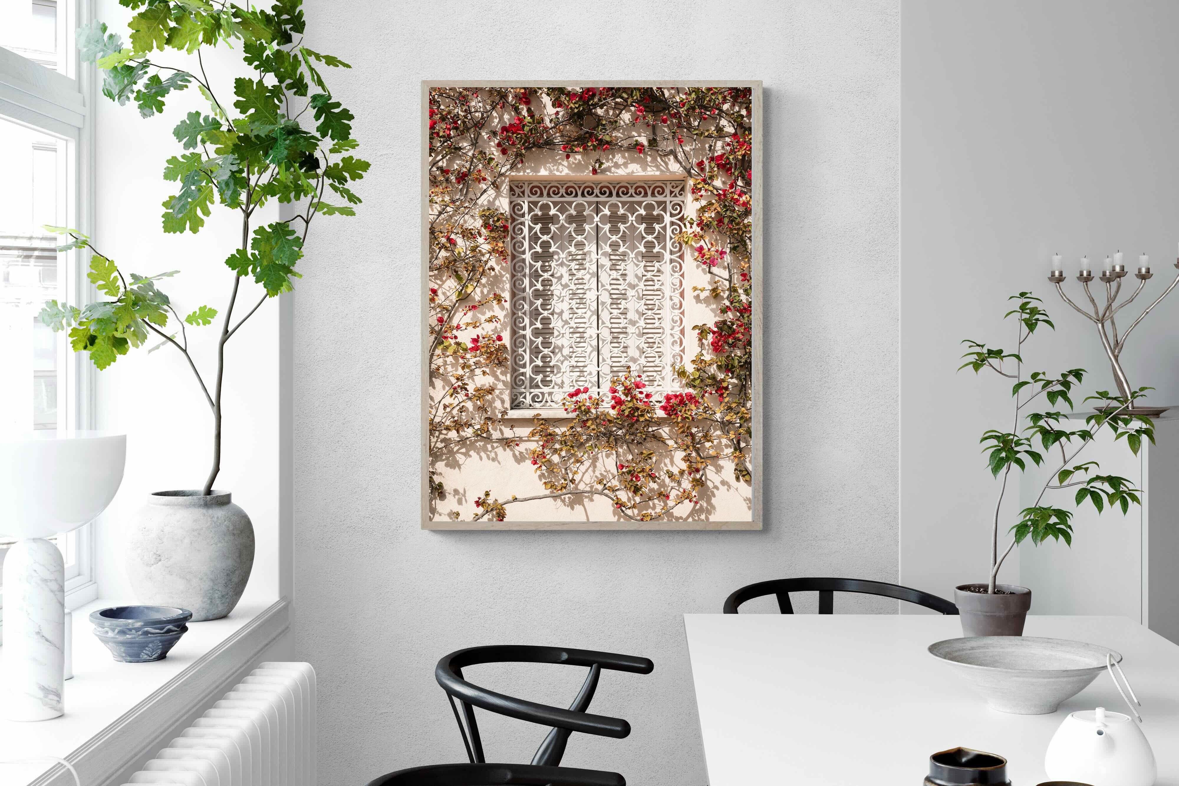Pixalot Red Frame