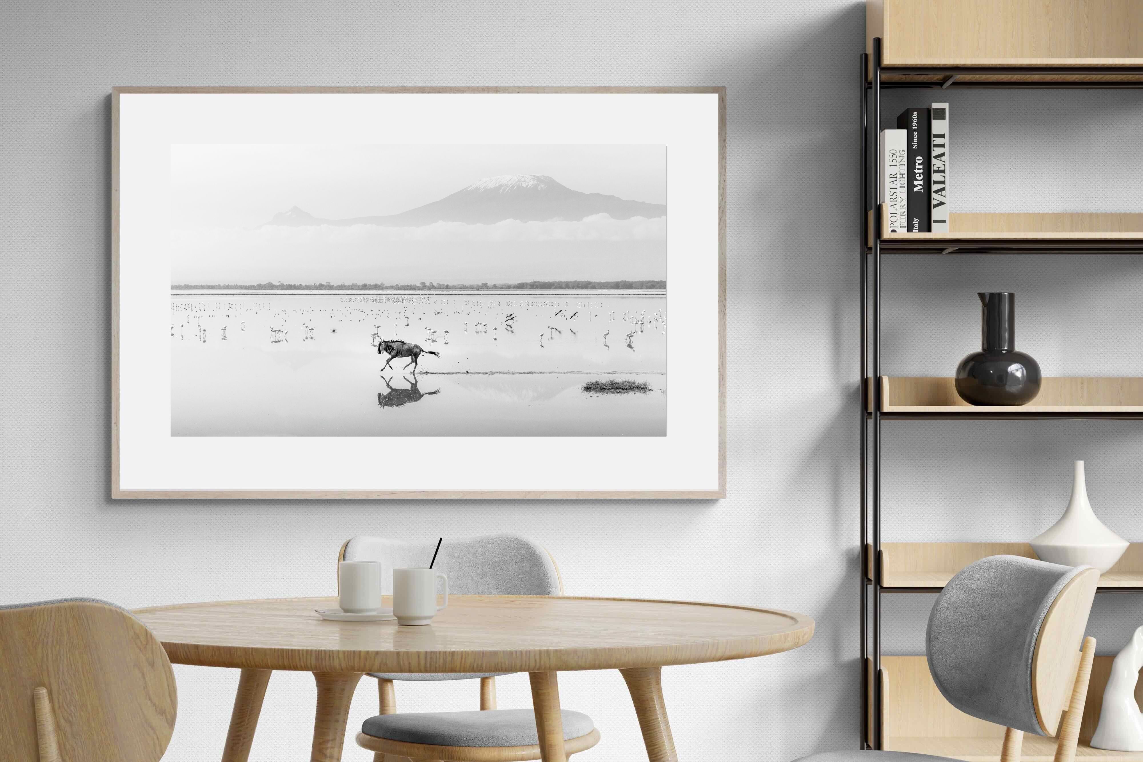 Pixalot Reflection of Freedom