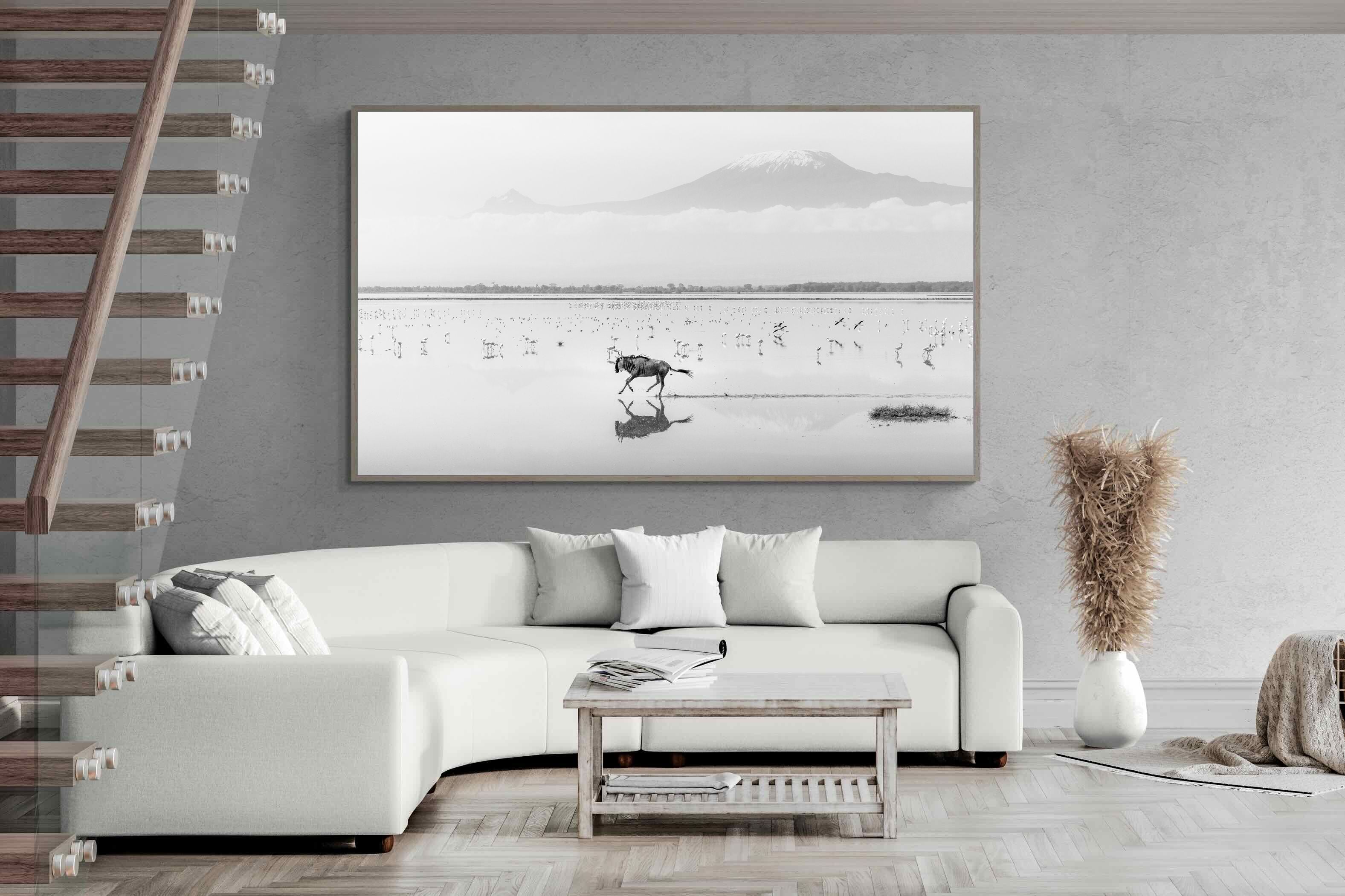 Pixalot Reflection of Freedom