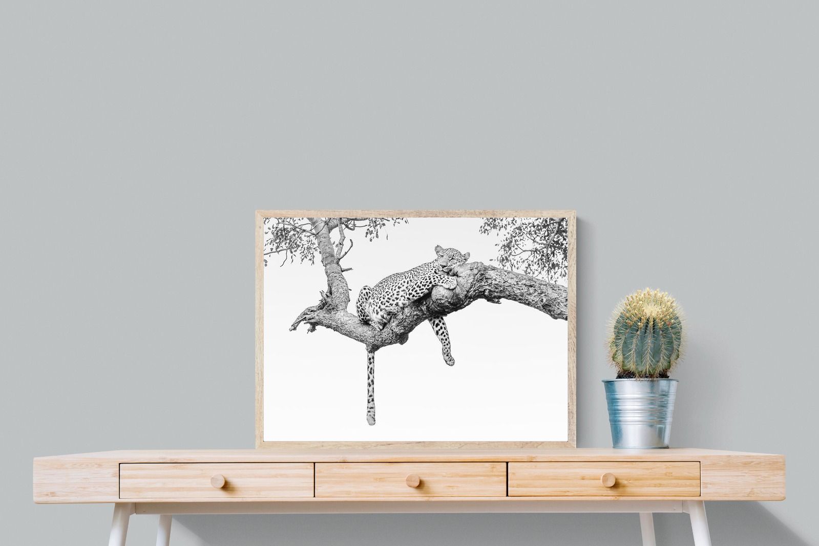 Pixalot Resting Leopard