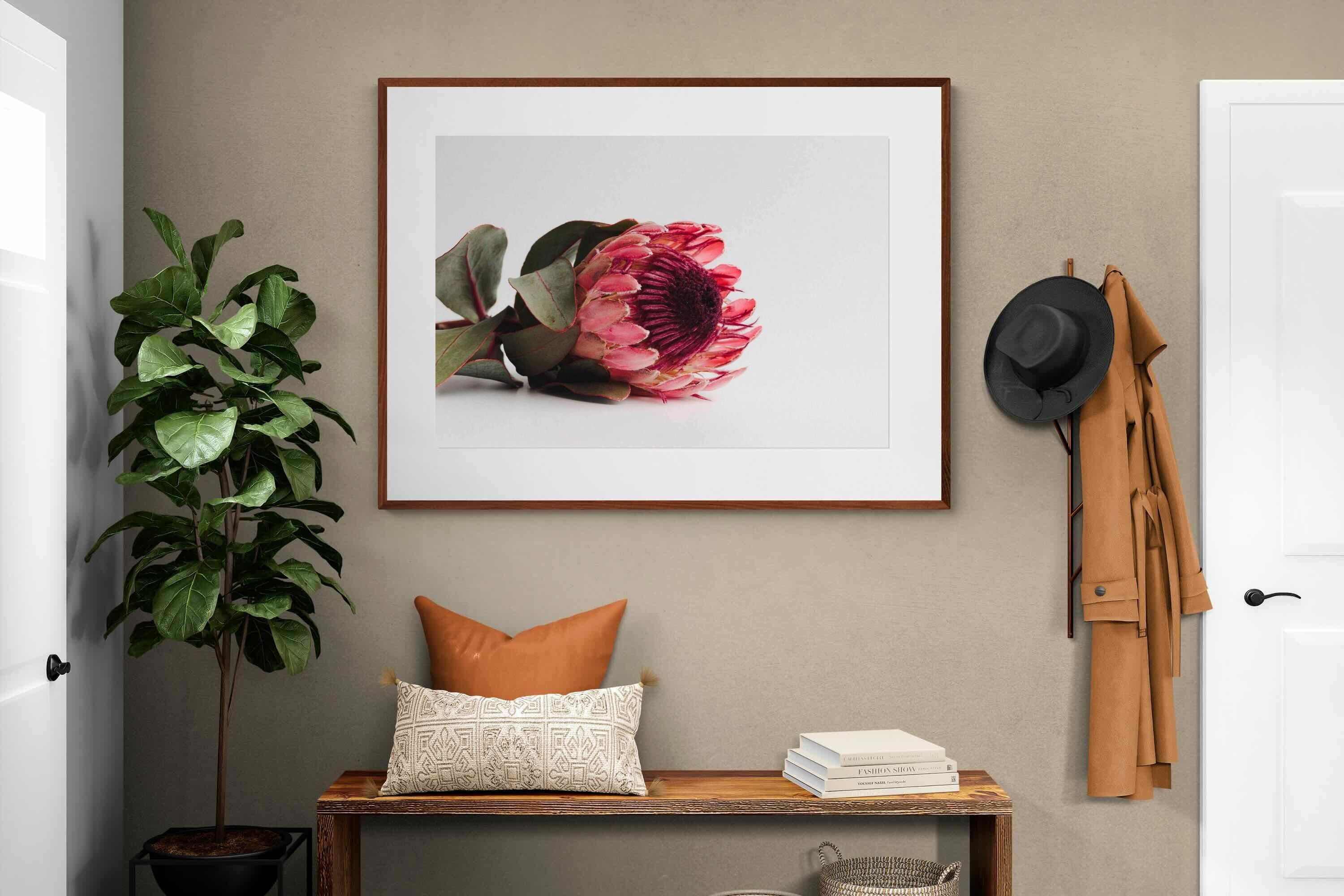 Pixalot ® Resting Protea