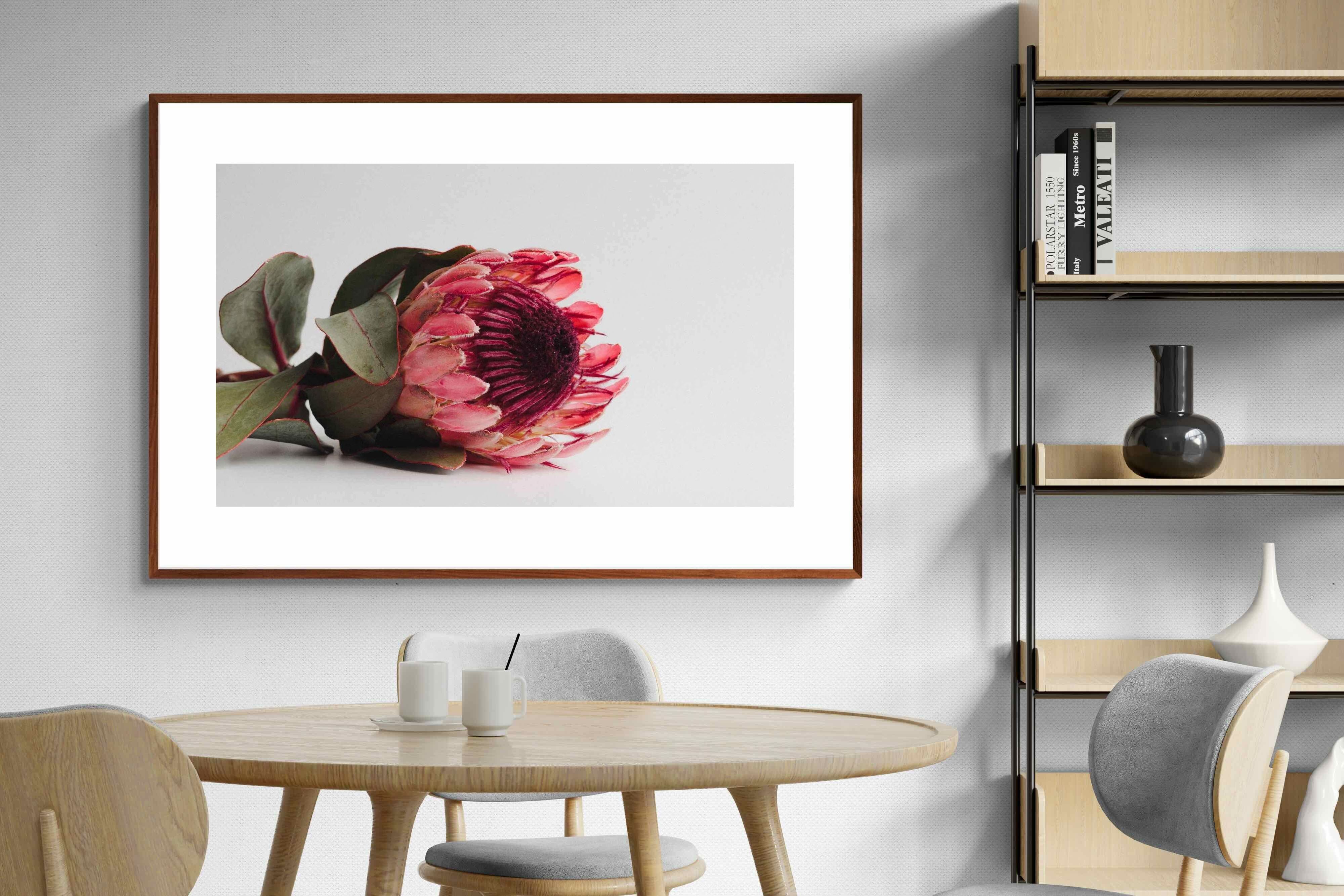Pixalot ® Resting Protea