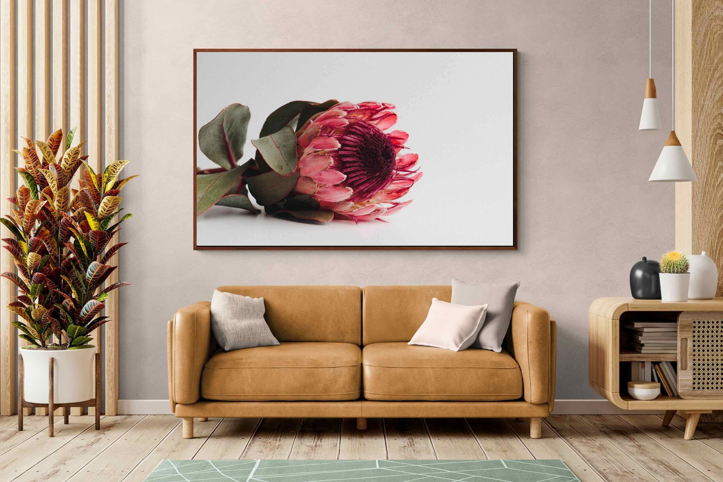 Pixalot ® Resting Protea