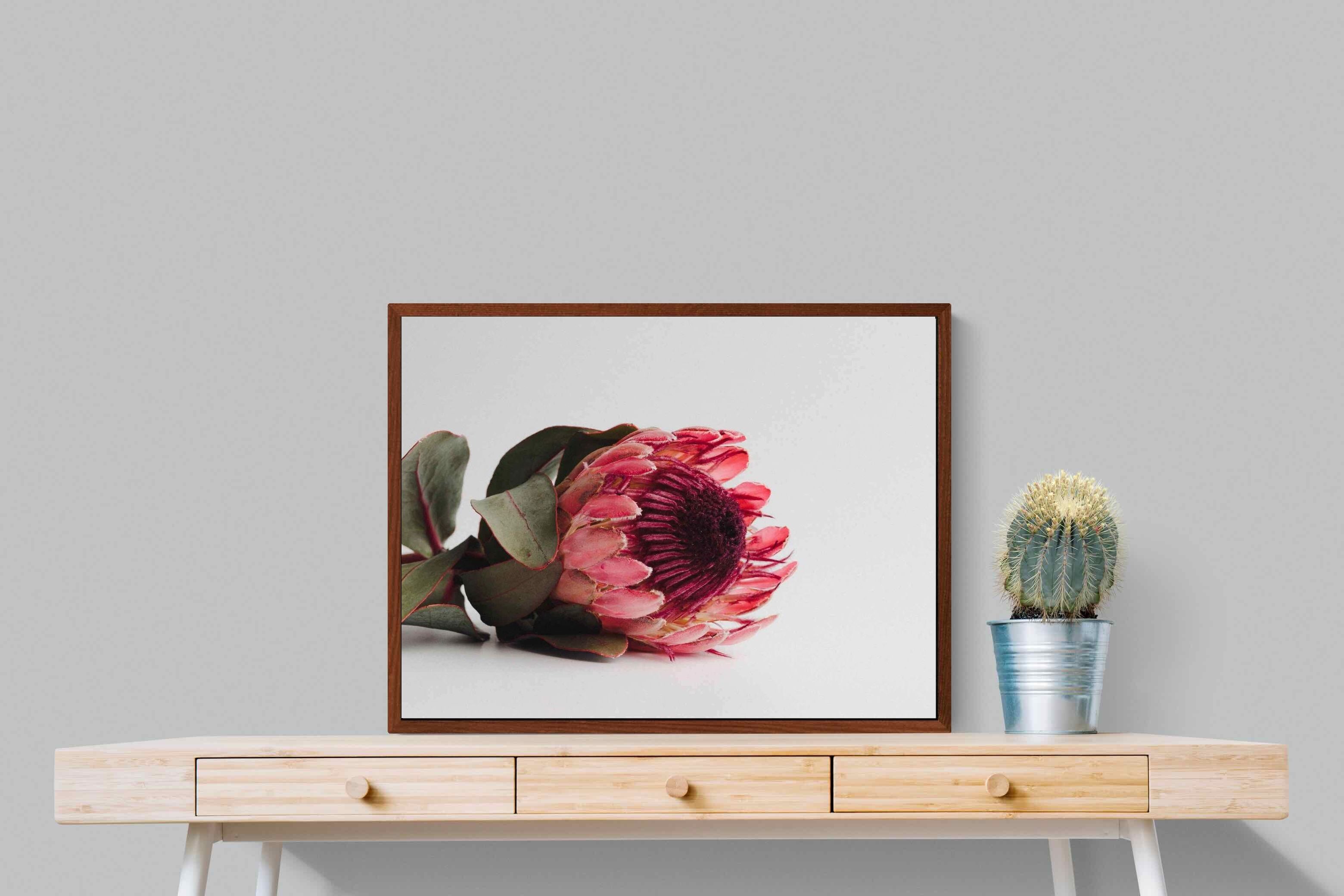 Pixalot ® Resting Protea