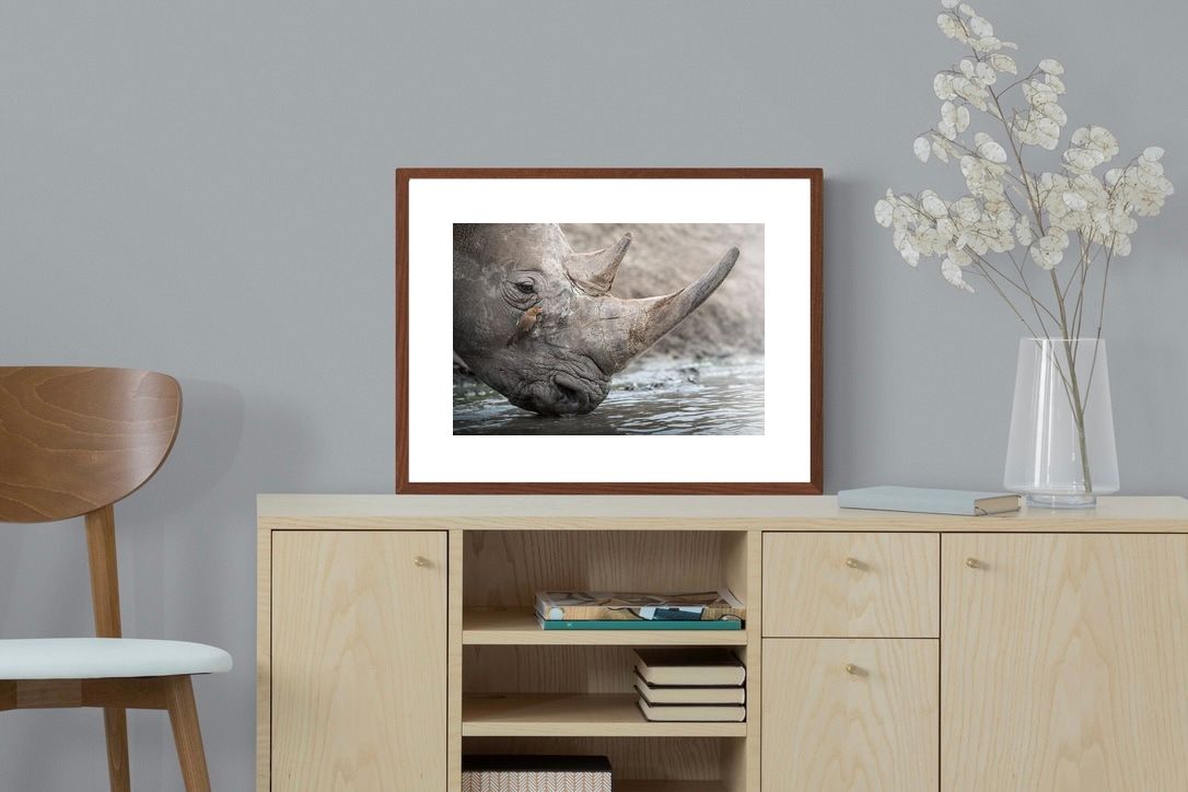 Pixalot Rhino & Friend