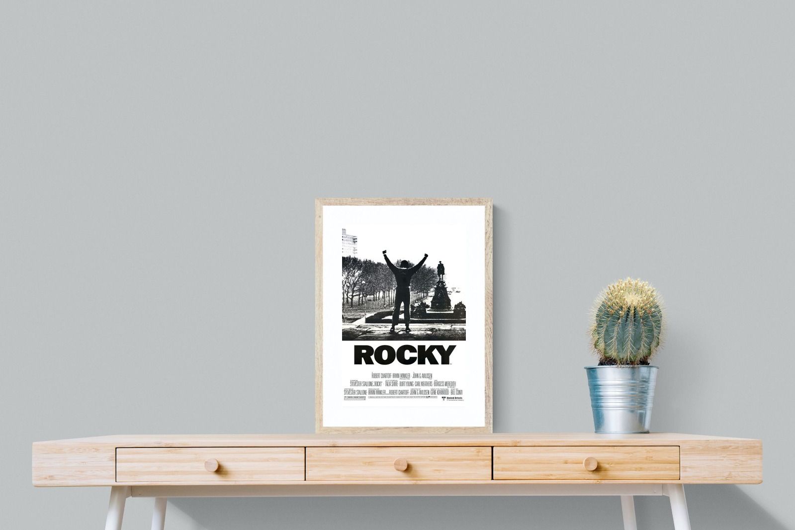 Pixalot Rocky