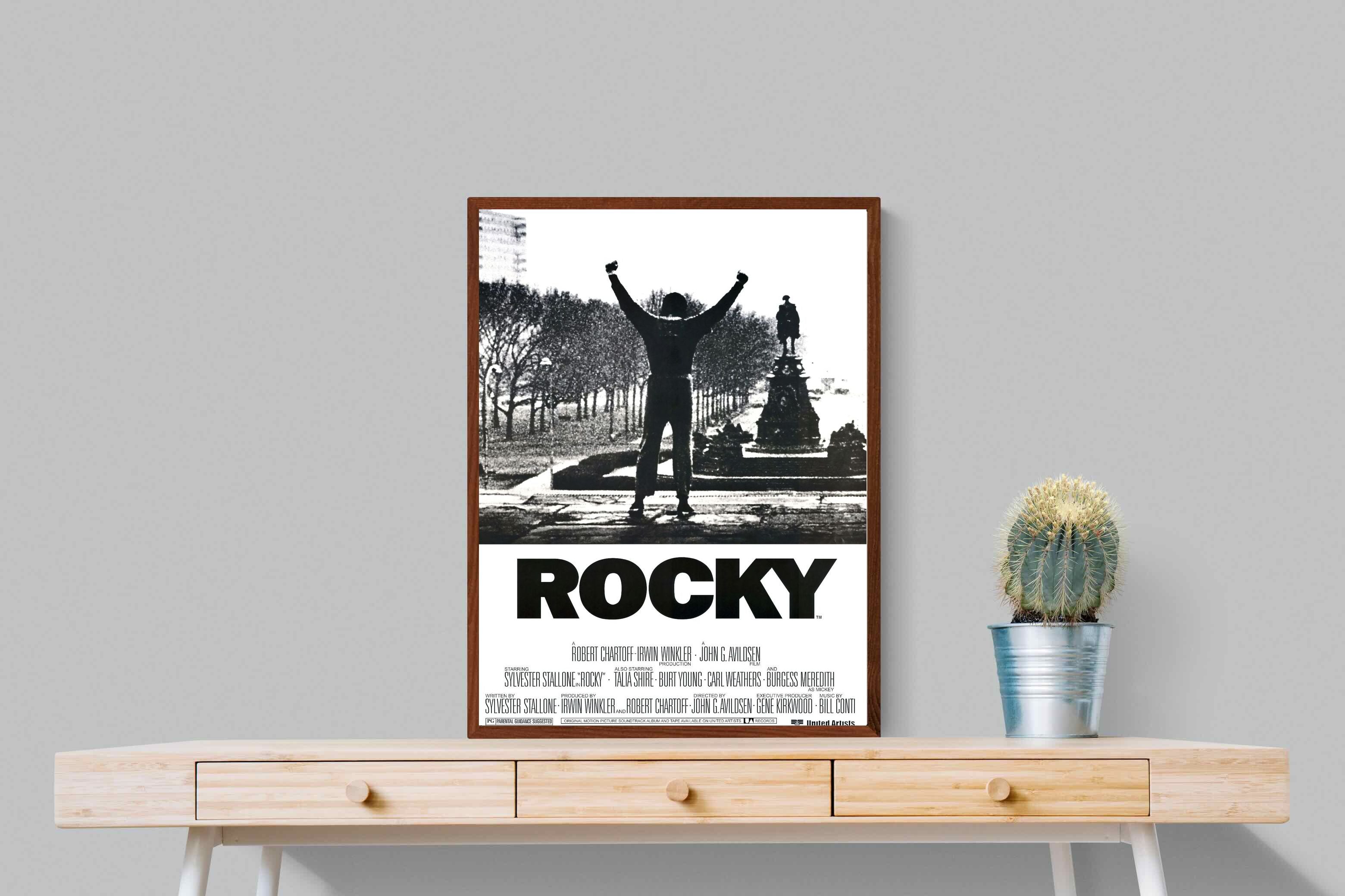 Pixalot Rocky