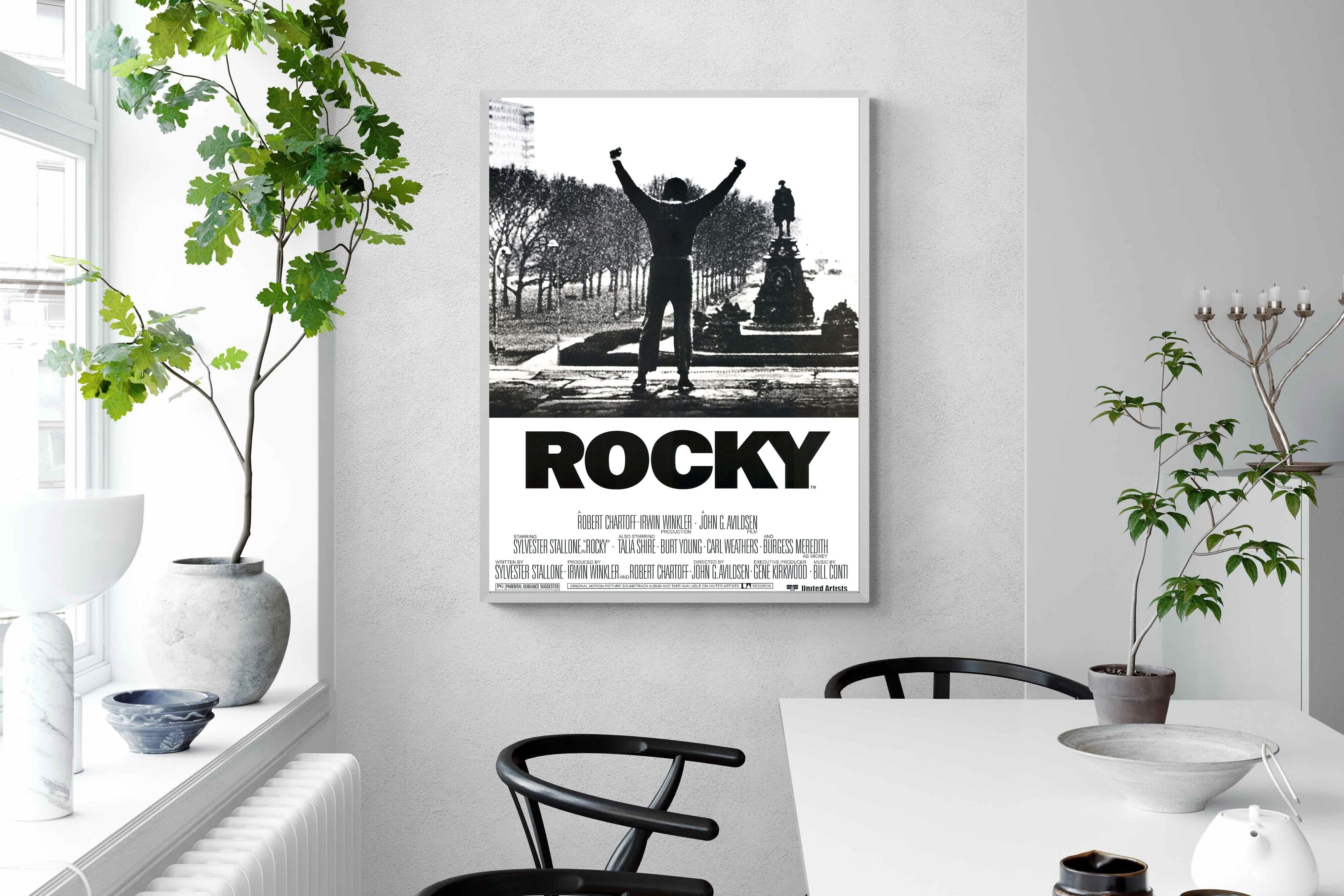 Pixalot Rocky