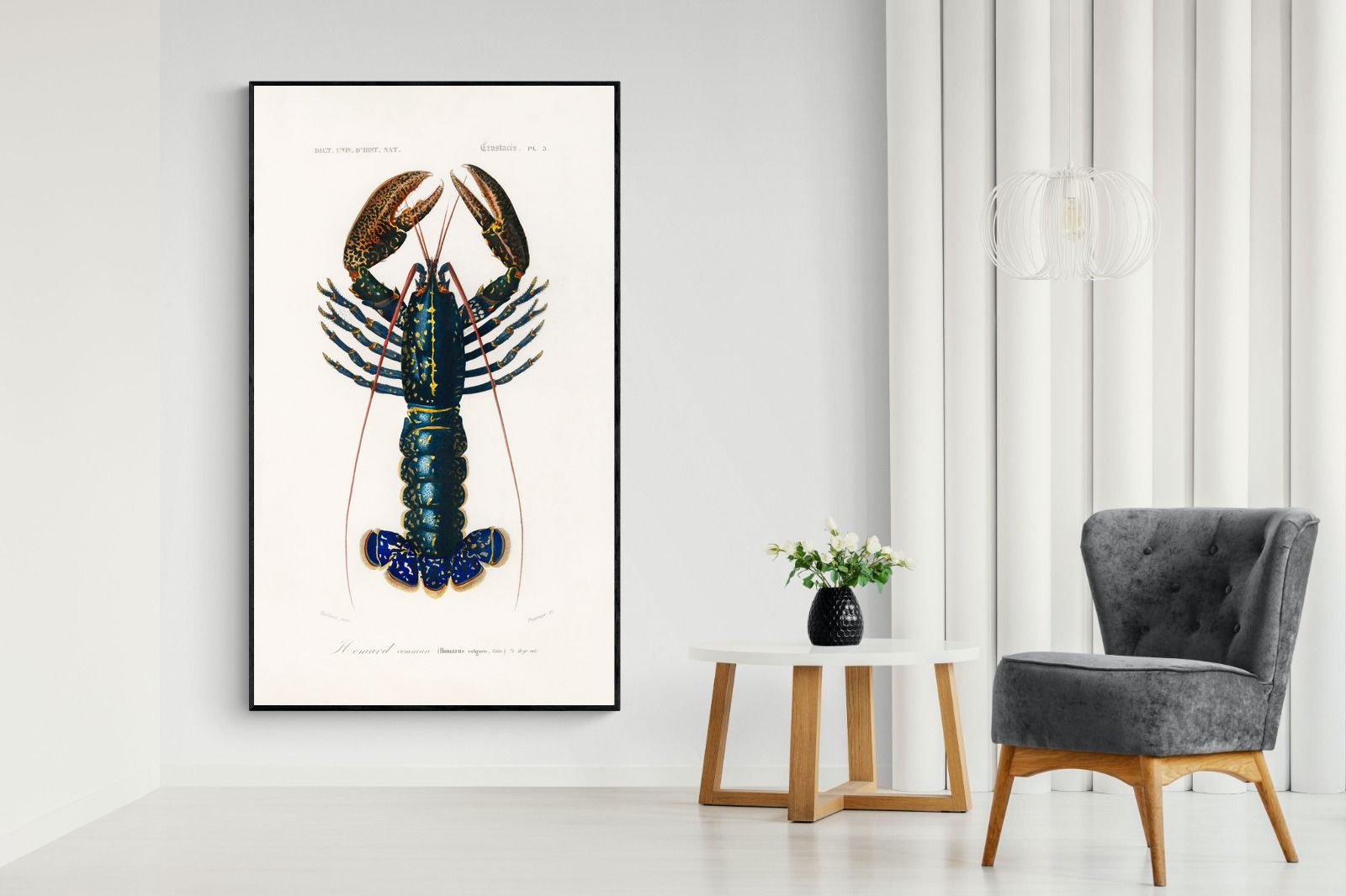 Pixalot Royal Lobster