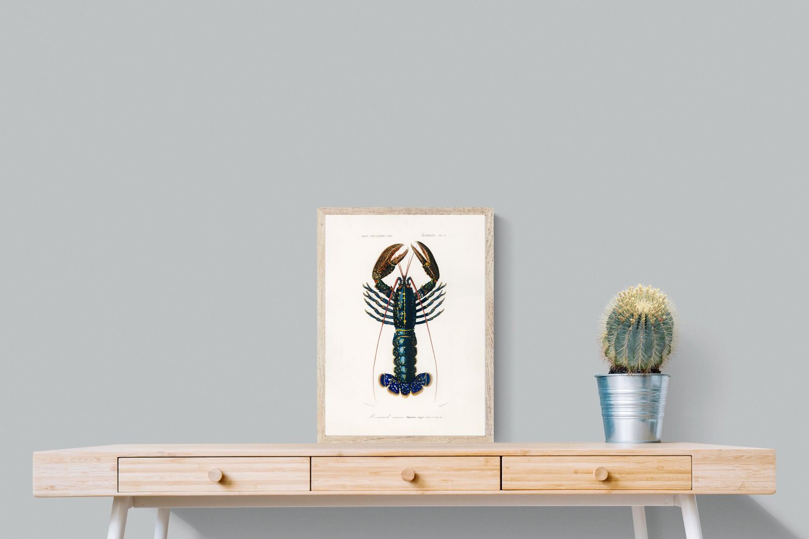 Pixalot Royal Lobster