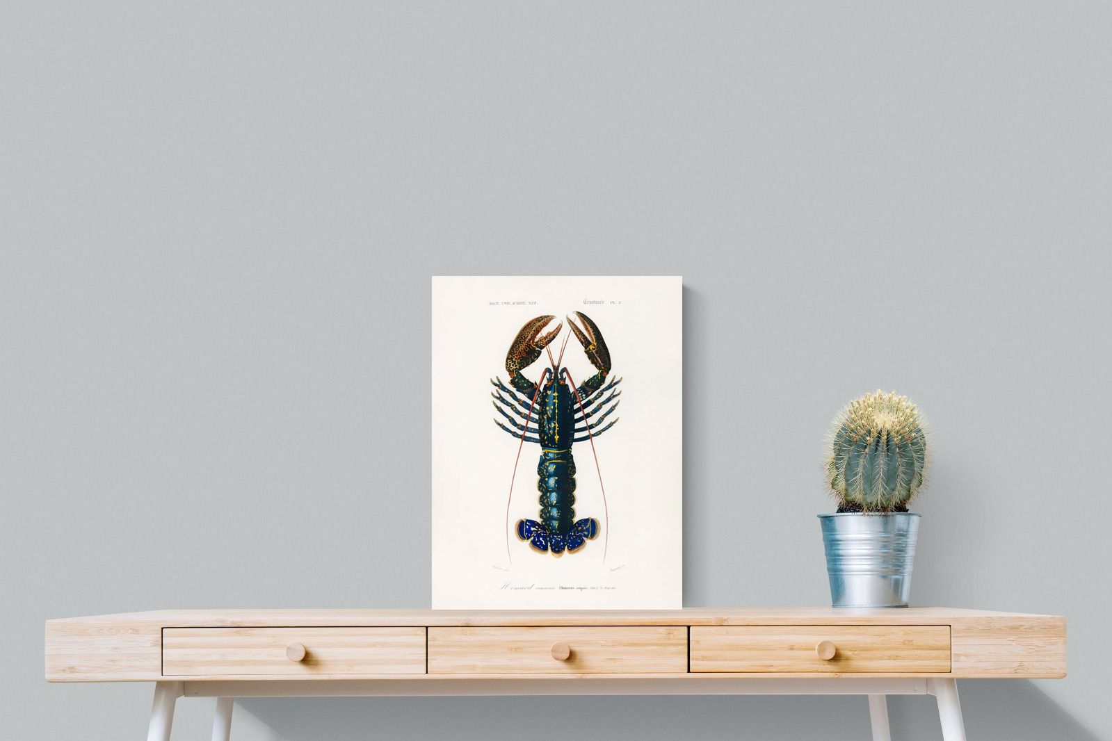 Pixalot Royal Lobster