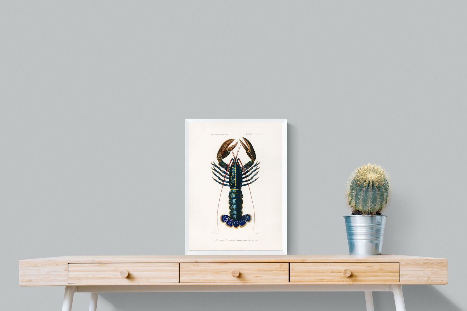 Pixalot Royal Lobster