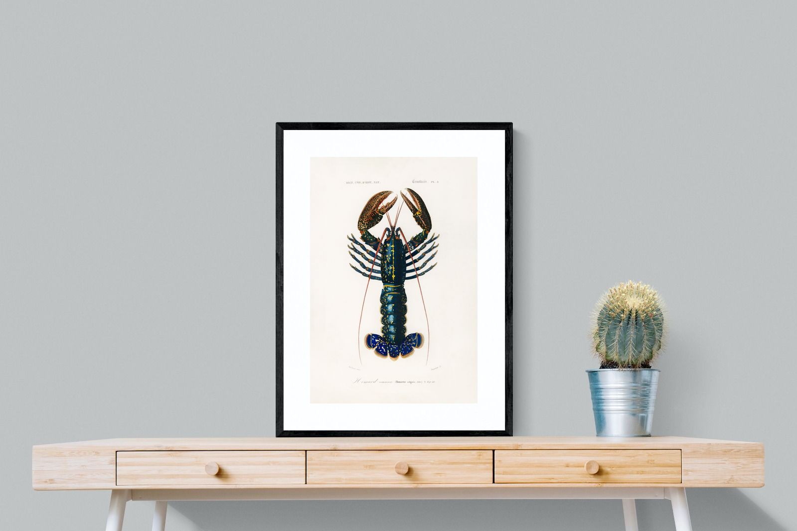 Pixalot Royal Lobster