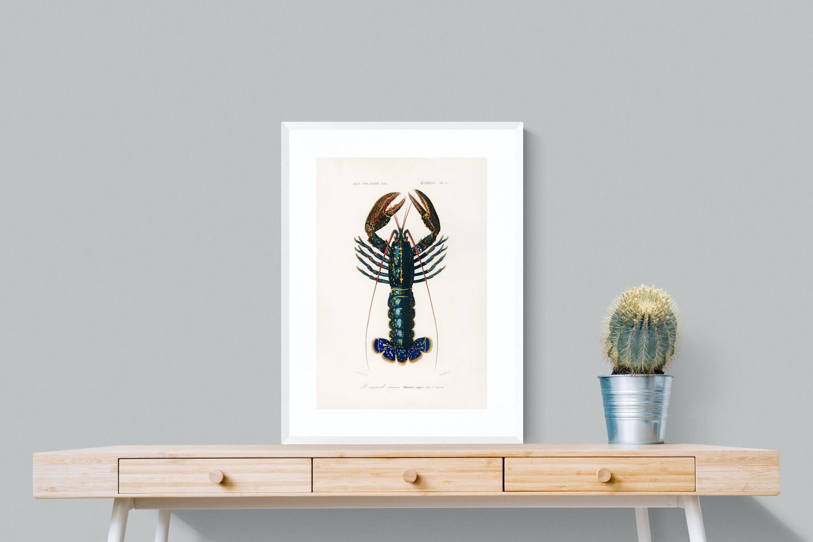 Pixalot Royal Lobster