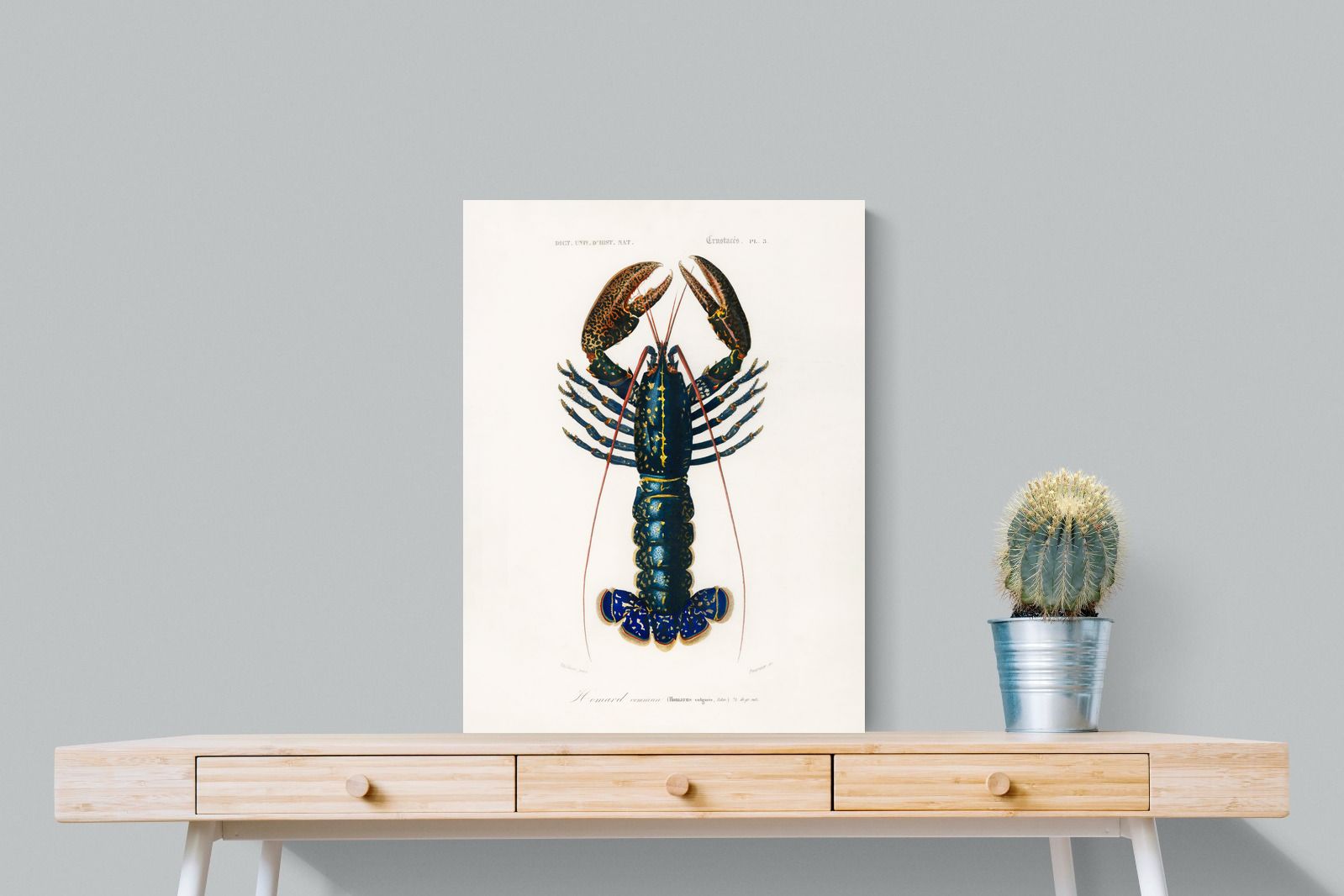 Pixalot Royal Lobster