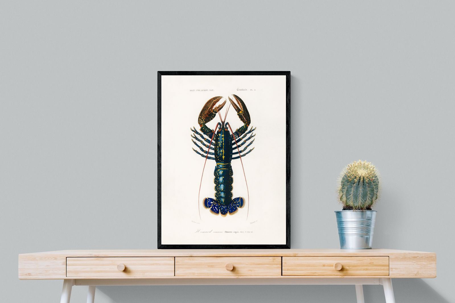 Pixalot Royal Lobster