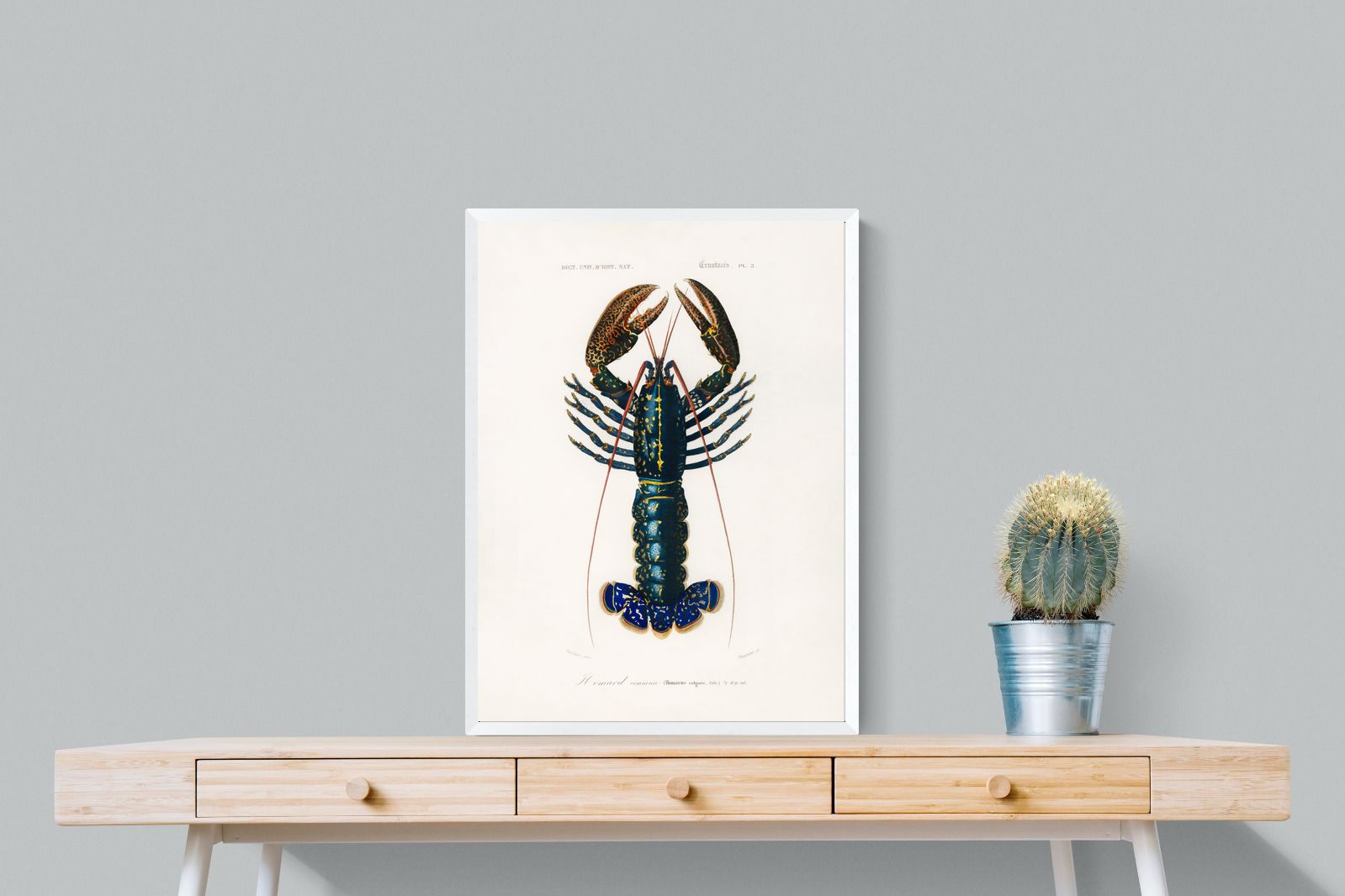 Pixalot Royal Lobster