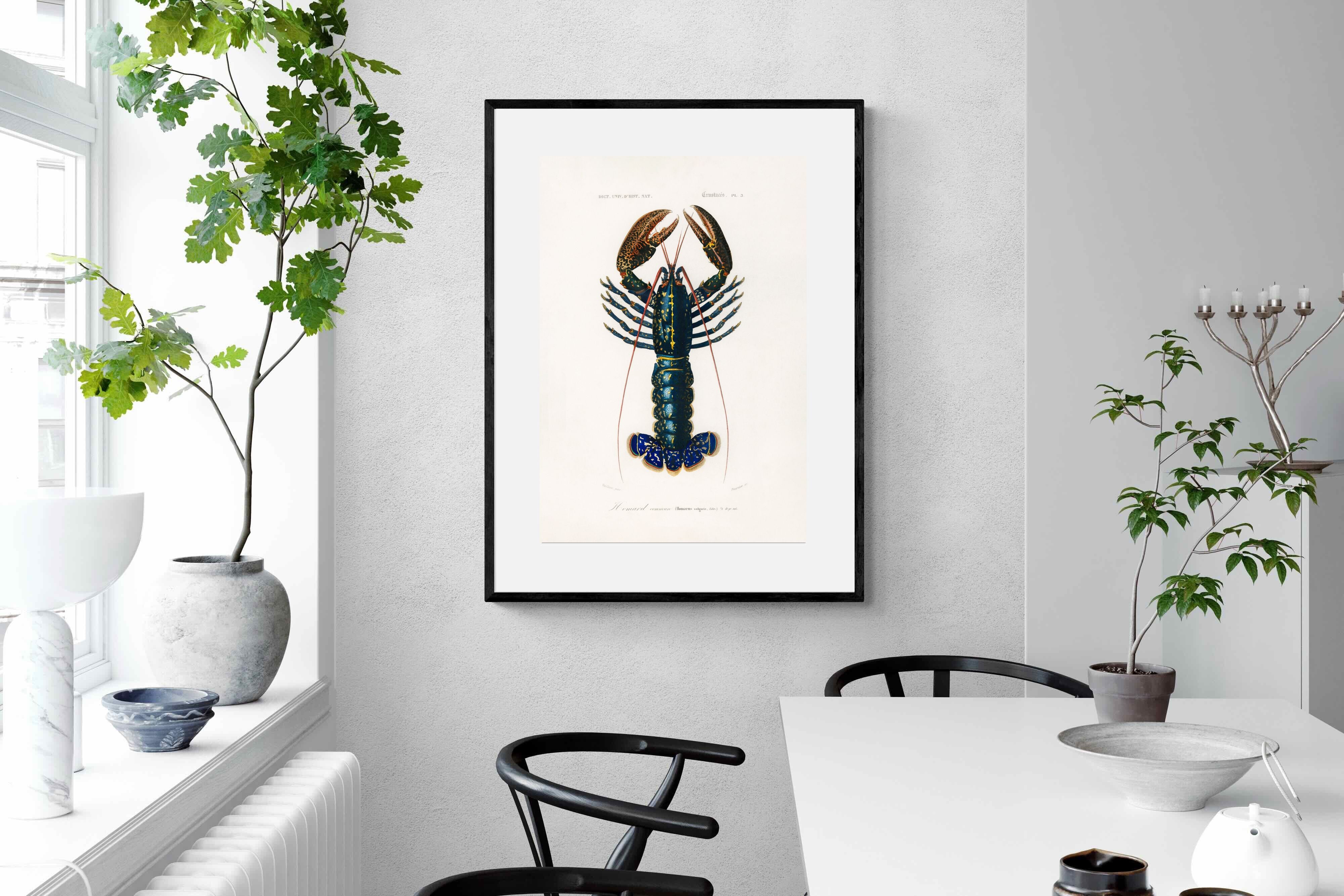 Pixalot Royal Lobster