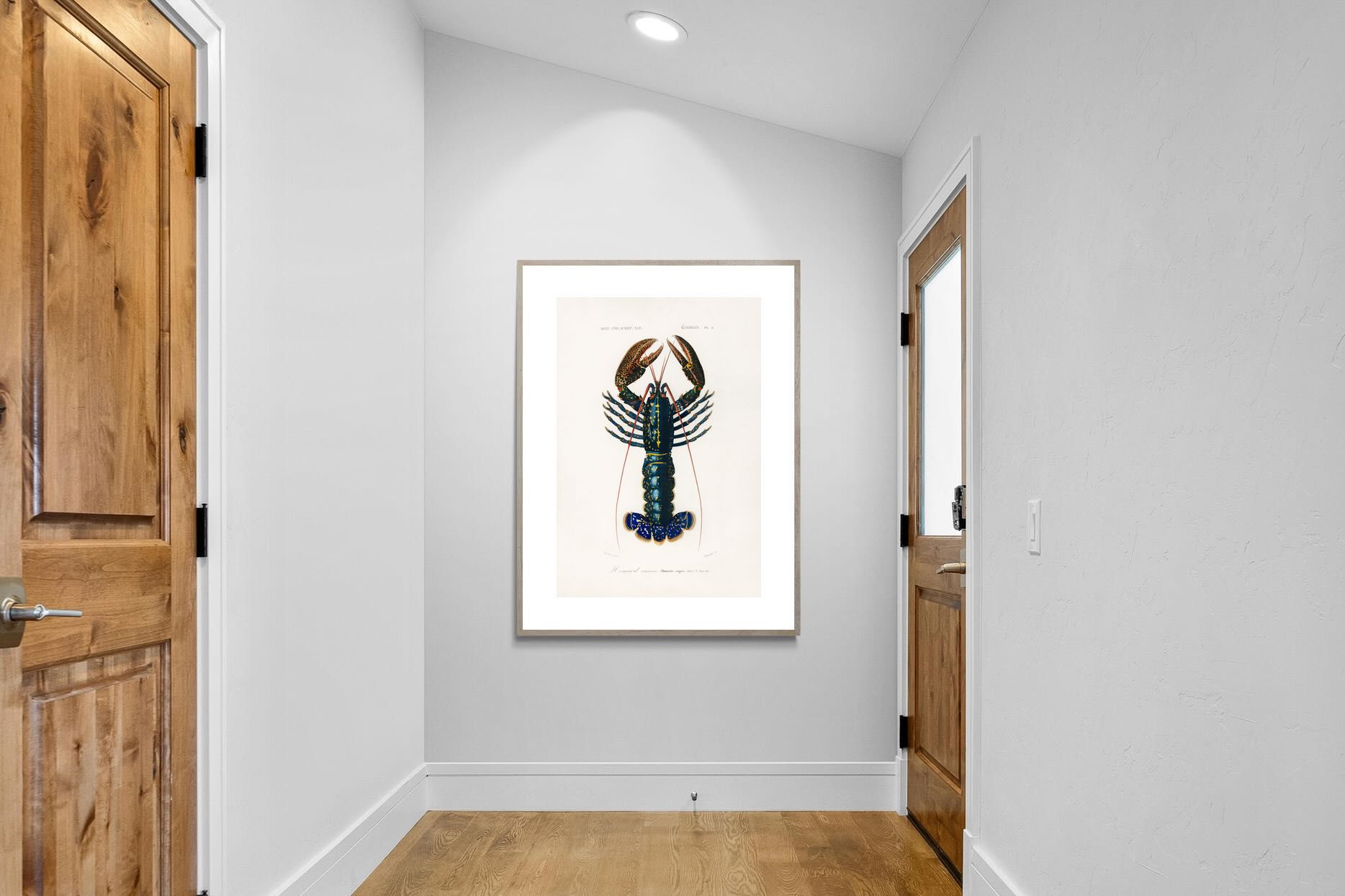 Pixalot Royal Lobster