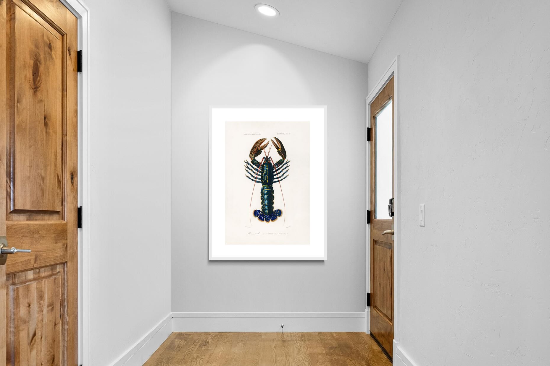 Pixalot Royal Lobster