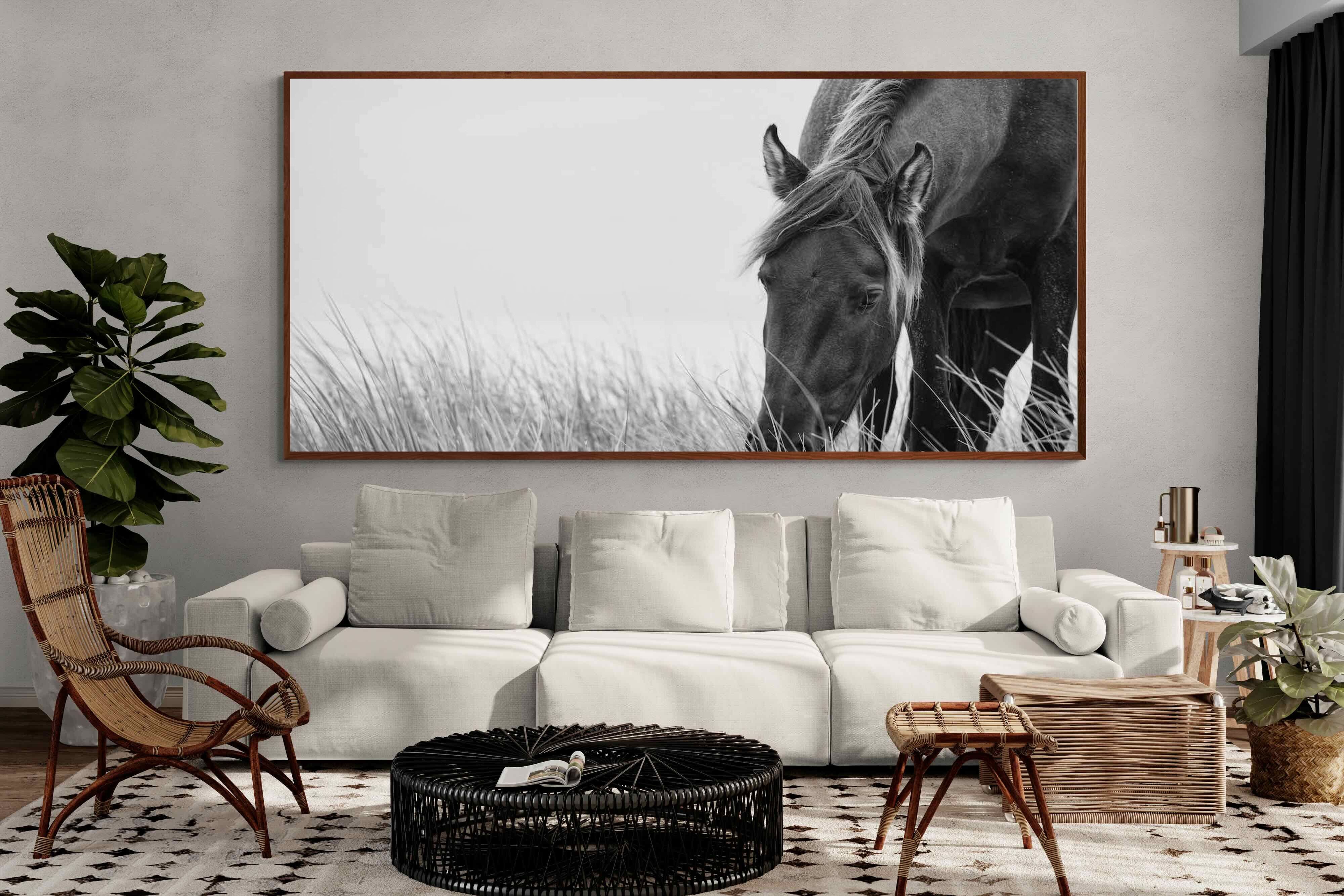 Pixalot ® Sable Stallion