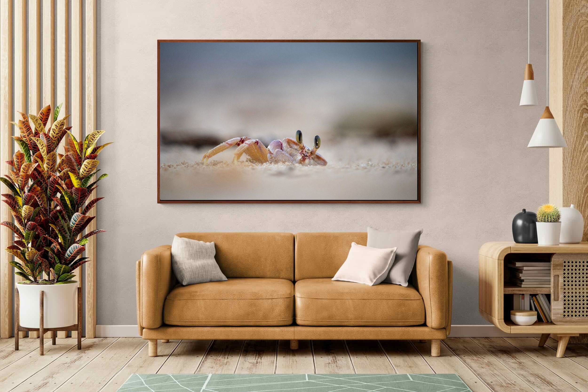 Pixalot ® Sand Crab