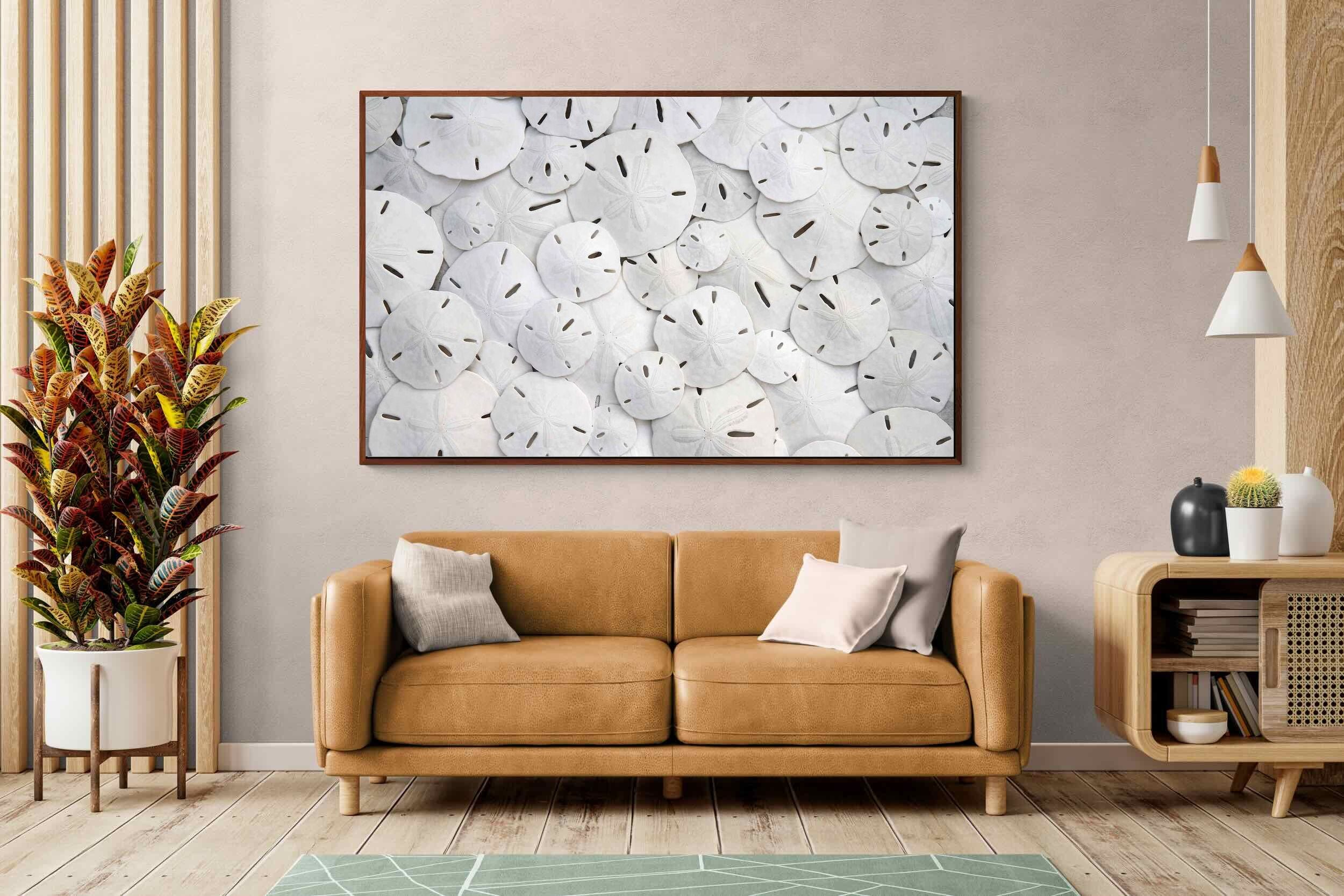 Pixalot ® Sand Dollars