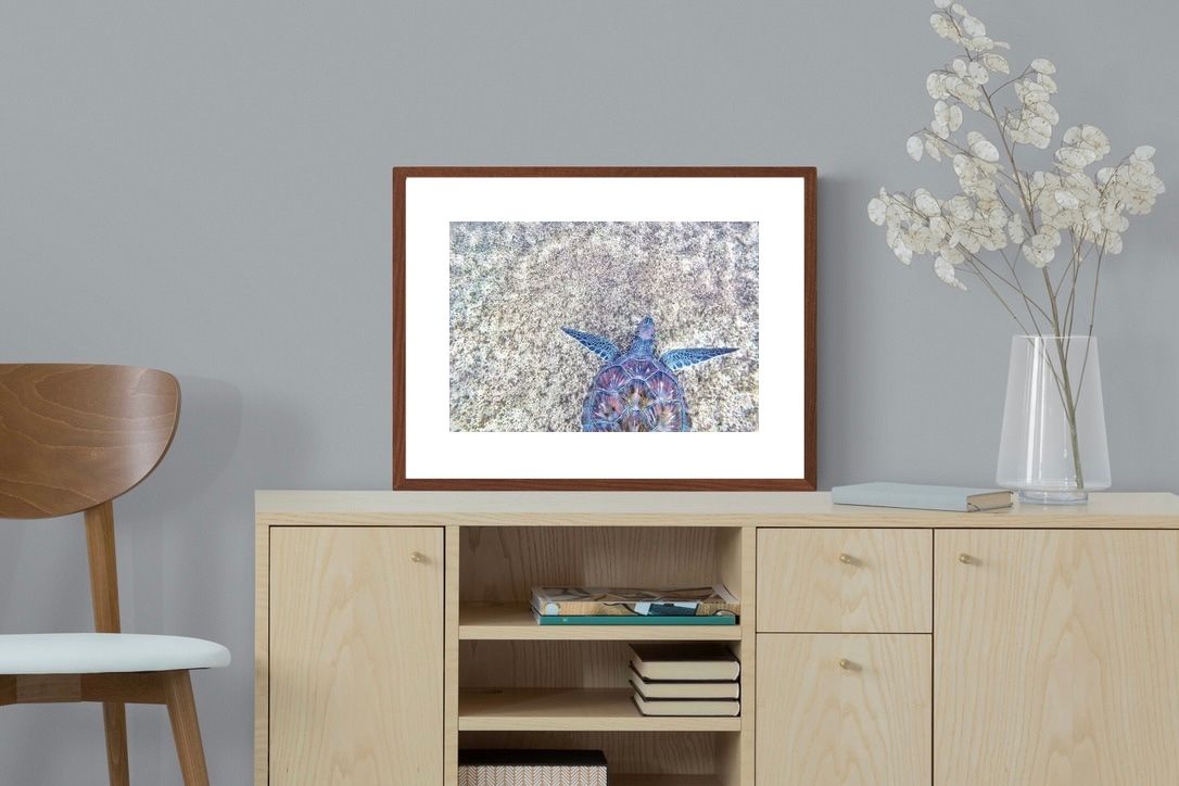 Pixalot ® Sapphire Sea Turtle