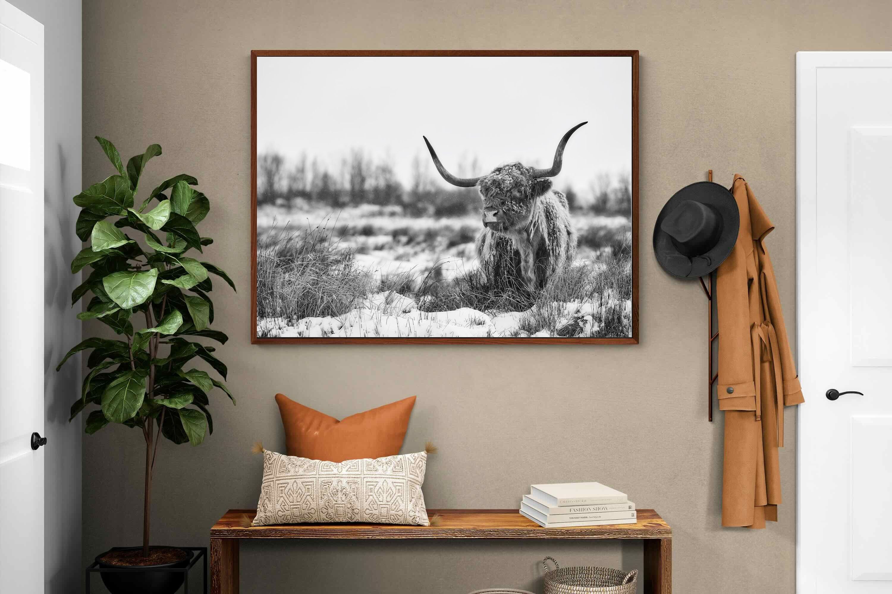 Pixalot ® Scottish Highlander (black & white)