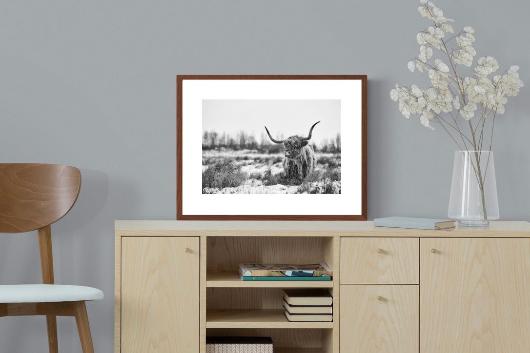 Pixalot ® Scottish Highlander (black & white)