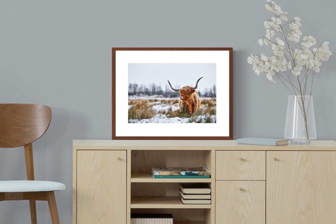 Pixalot ® Scottish Highlander (colour)