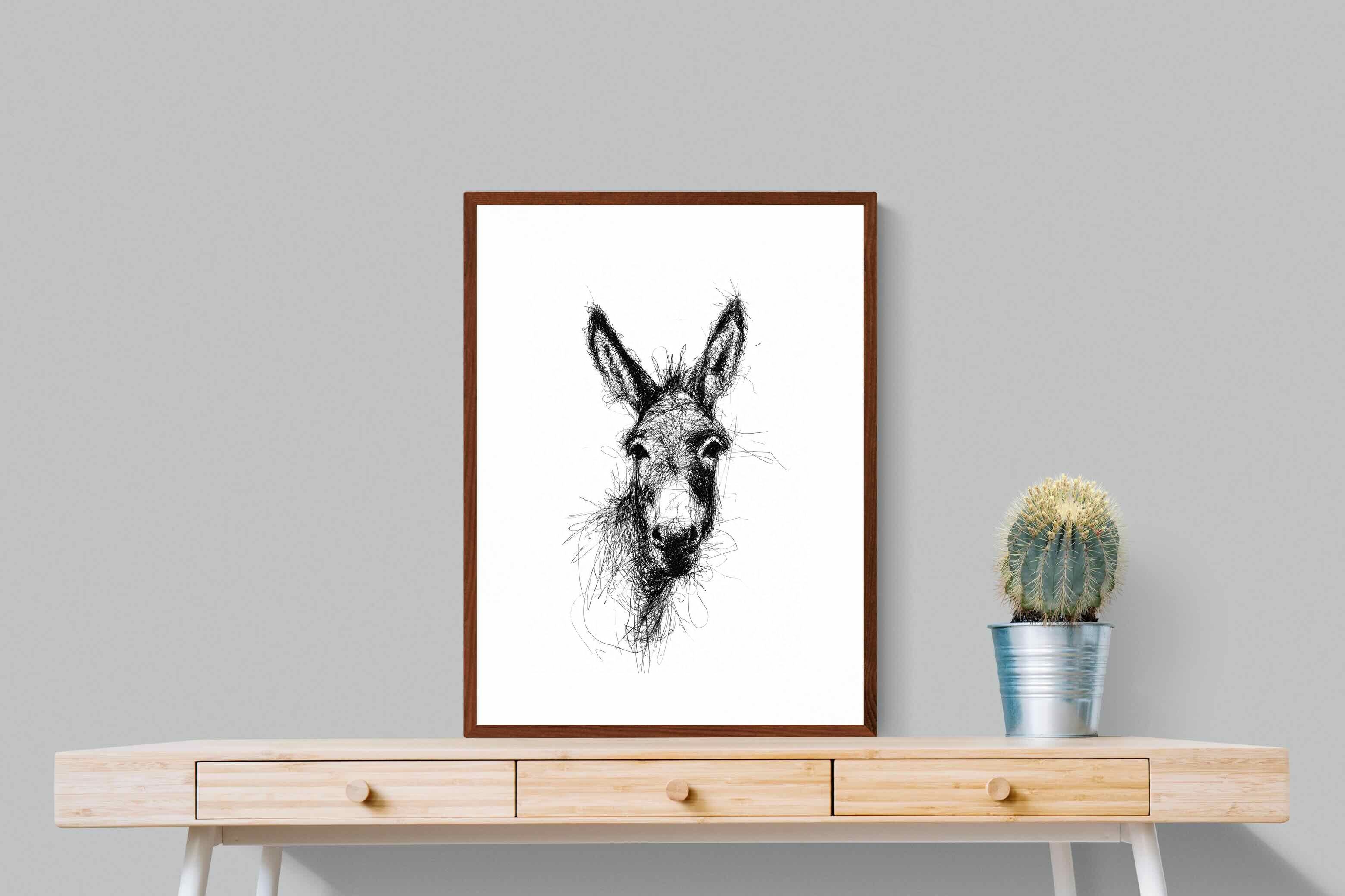 Pixalot Scribbly Donkey