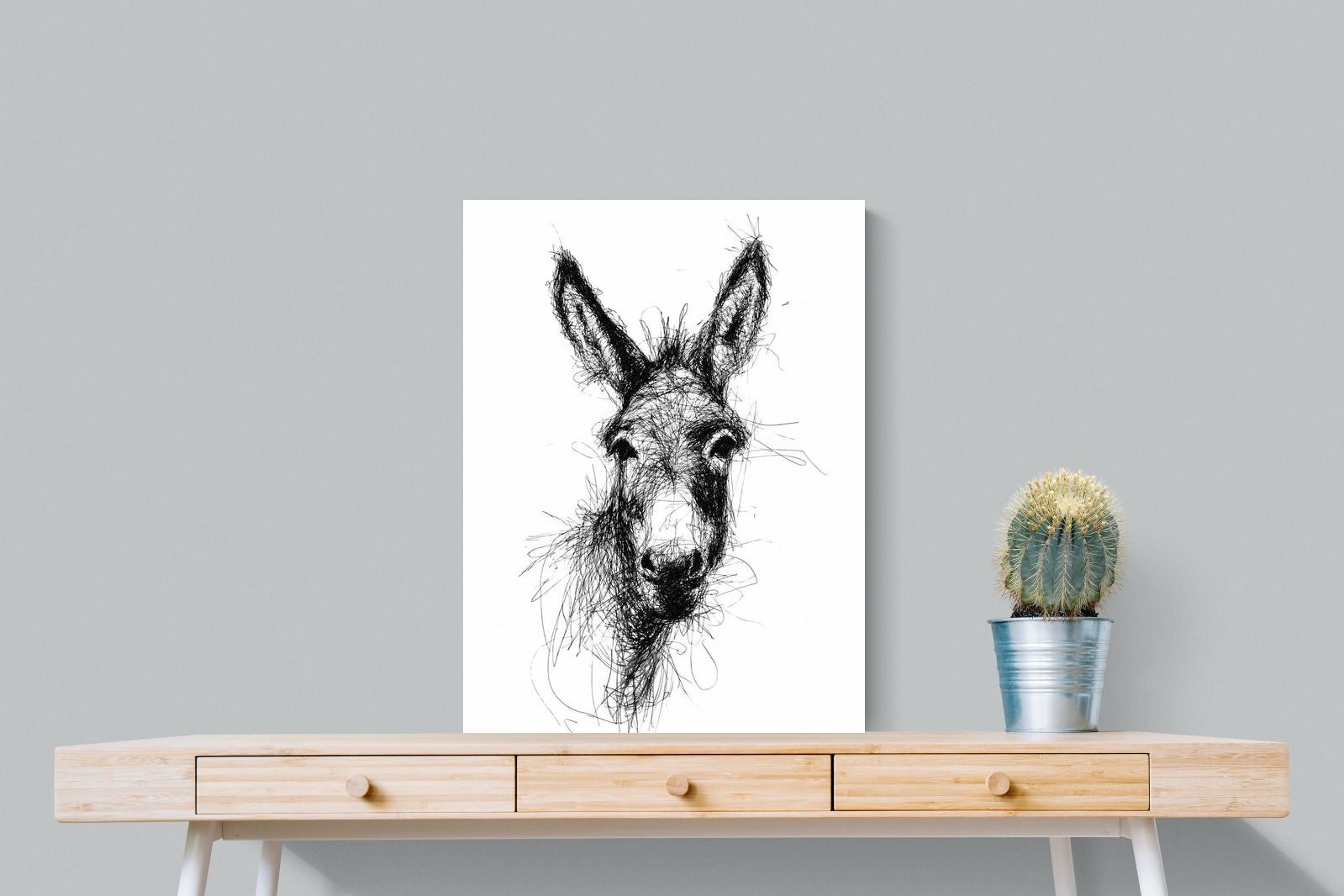 Pixalot Scribbly Donkey