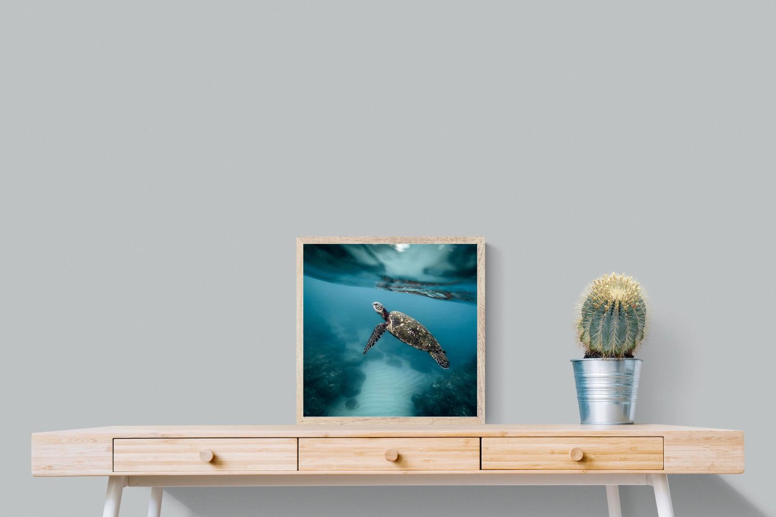 Pixalot Sea Turtle