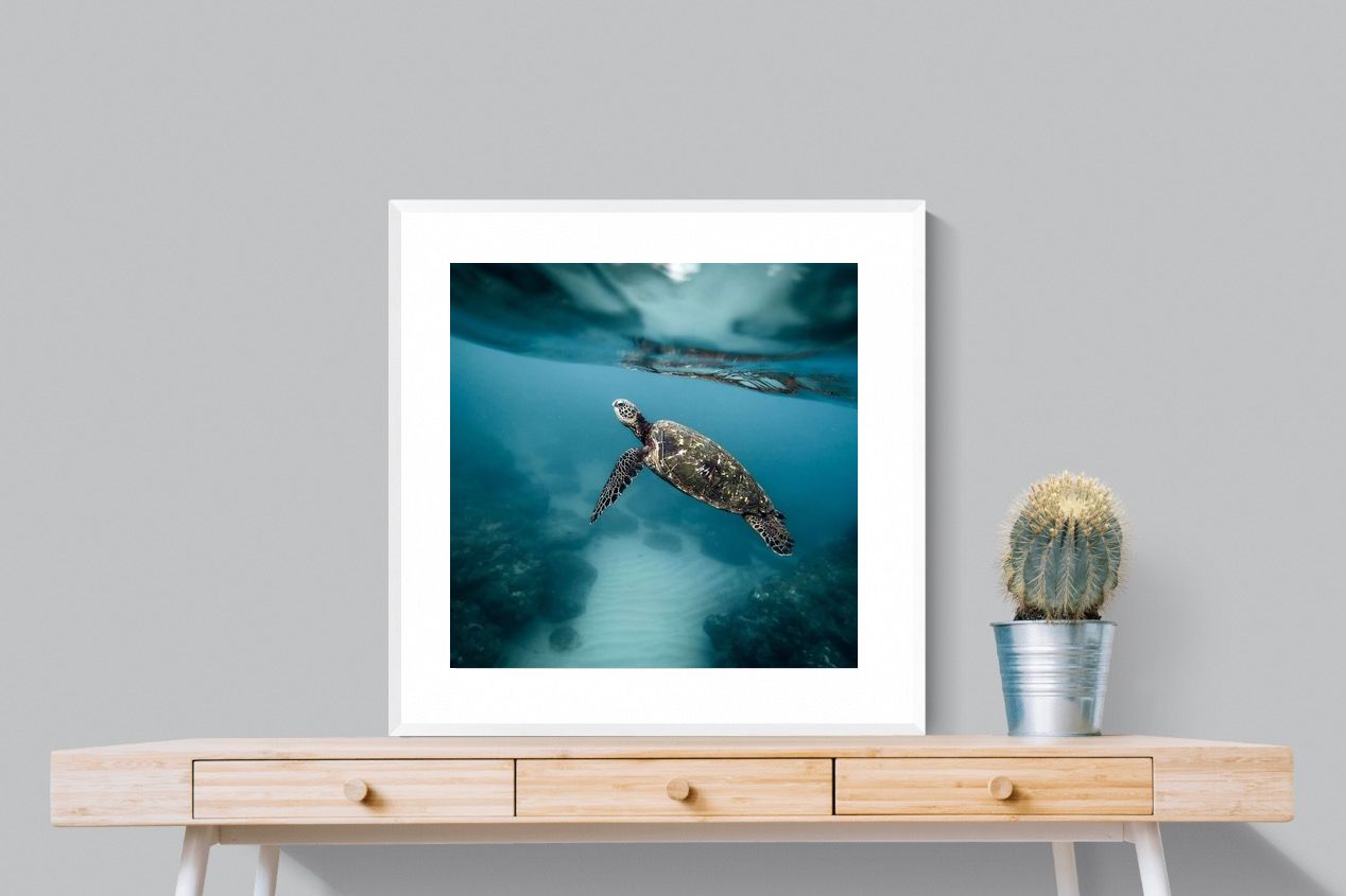 Pixalot Sea Turtle
