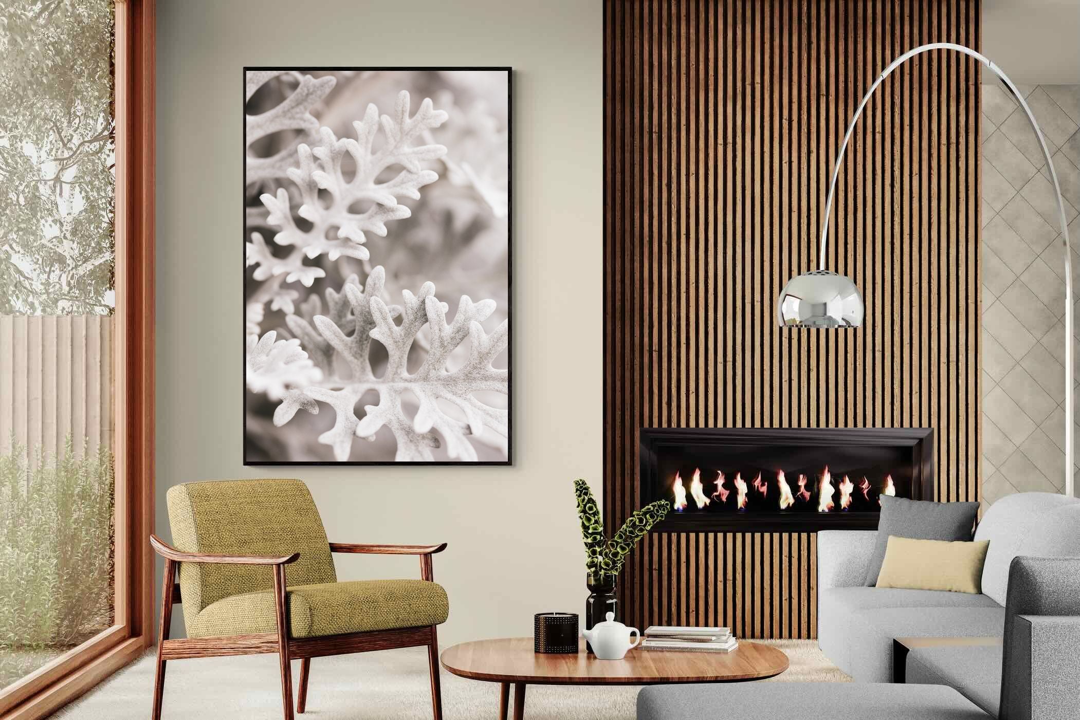 Pixalot Senecio Cineraria