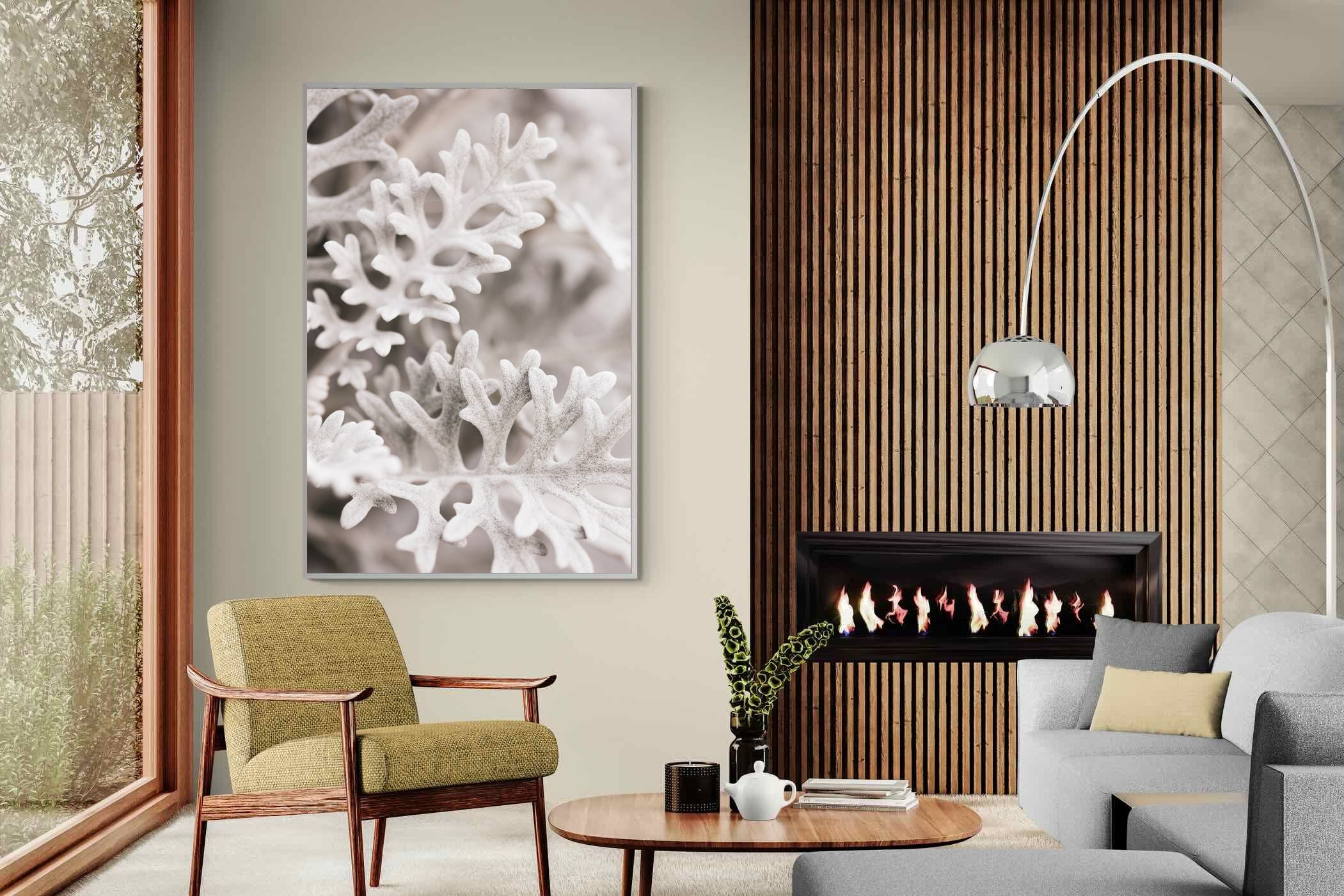 Pixalot Senecio Cineraria