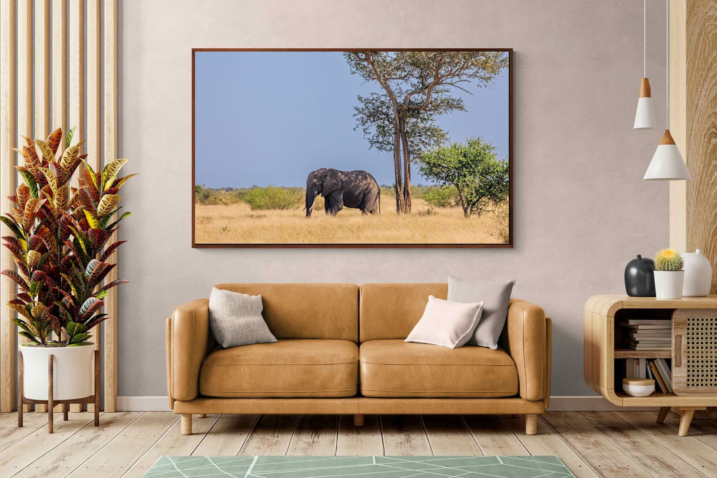 Pixalot ® Shady Elephant