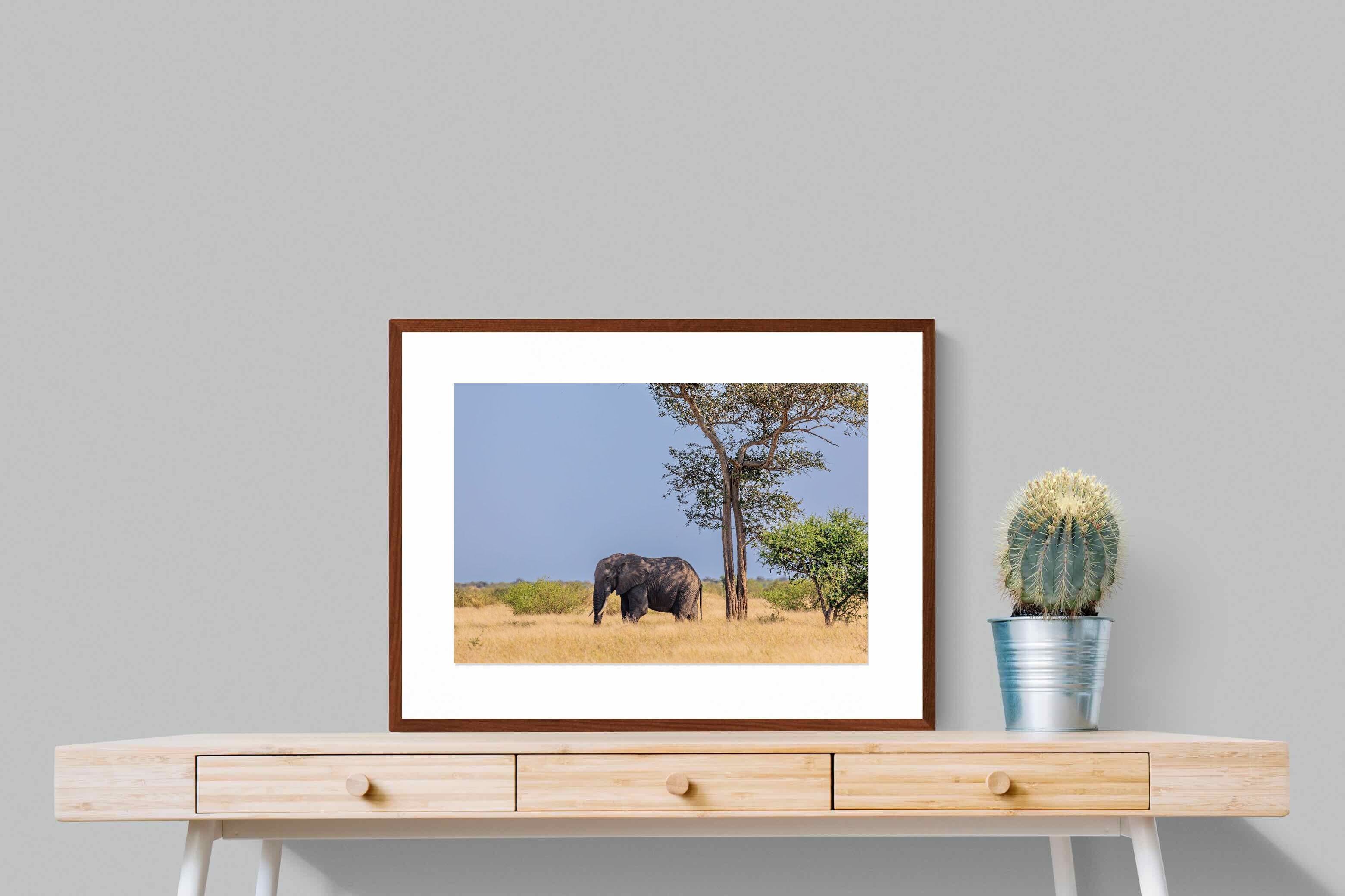 Pixalot ® Shady Elephant