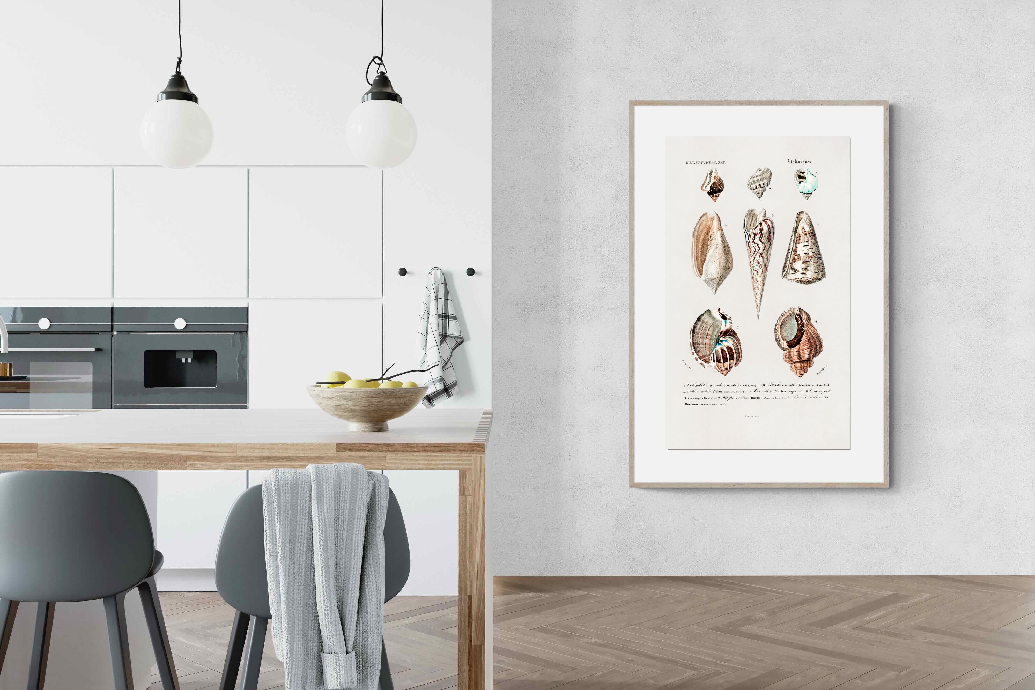 Pixalot Shell Study No. 1