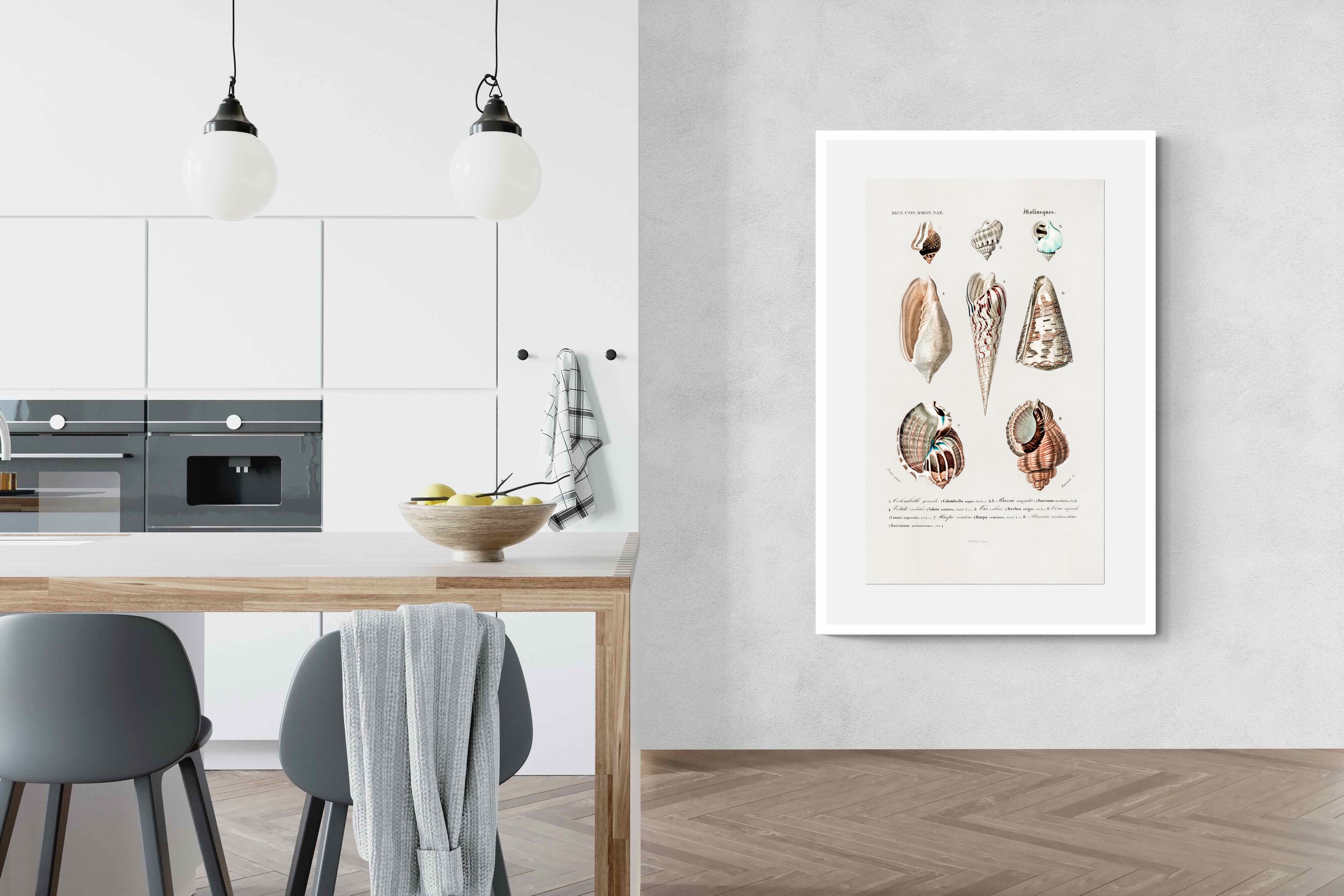 Pixalot Shell Study No. 1