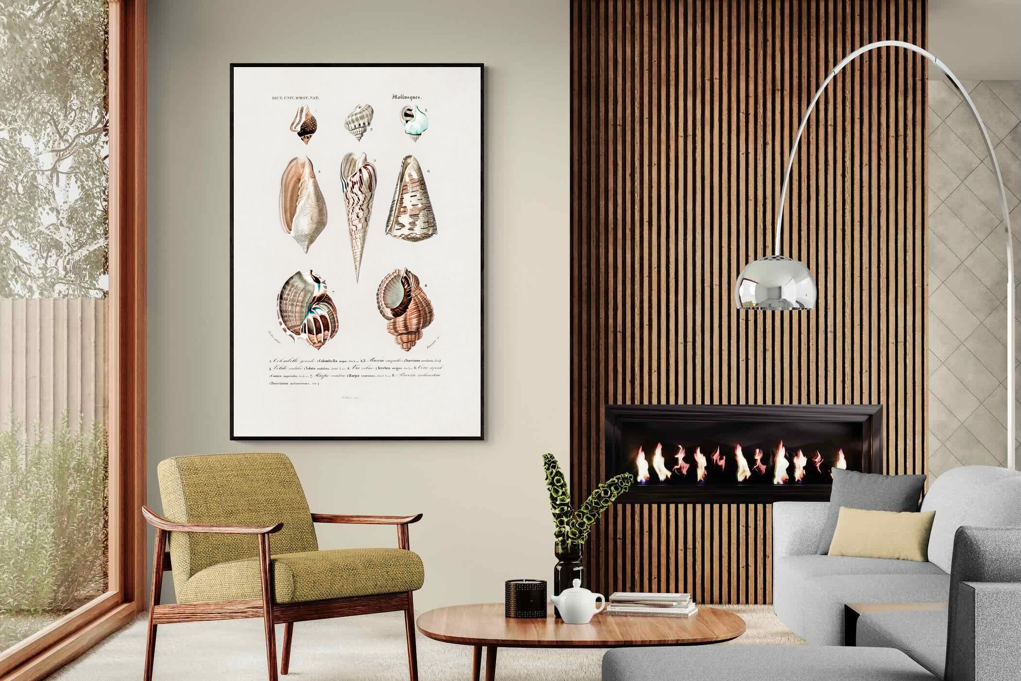 Pixalot Shell Study No. 1