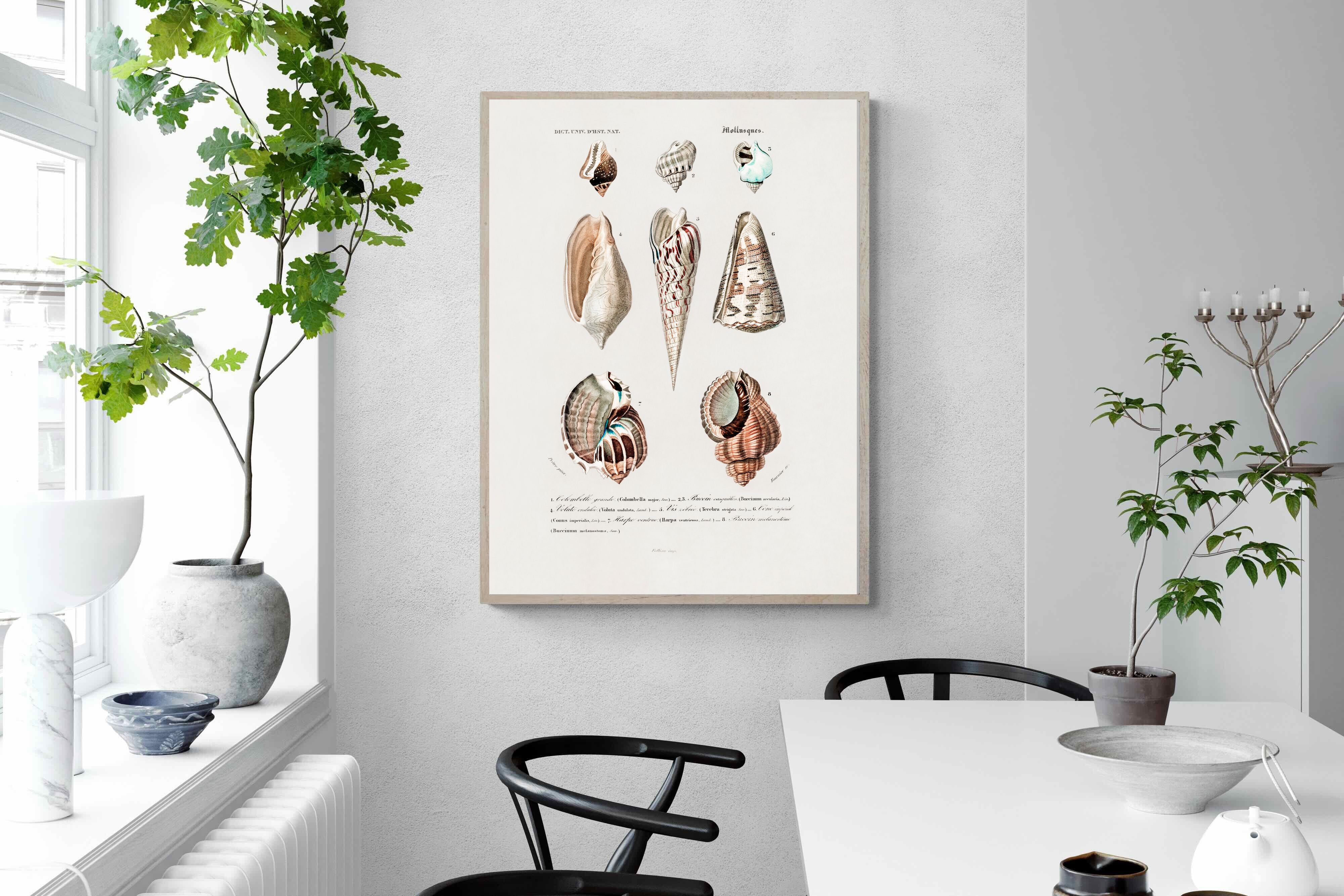 Pixalot Shell Study No. 1