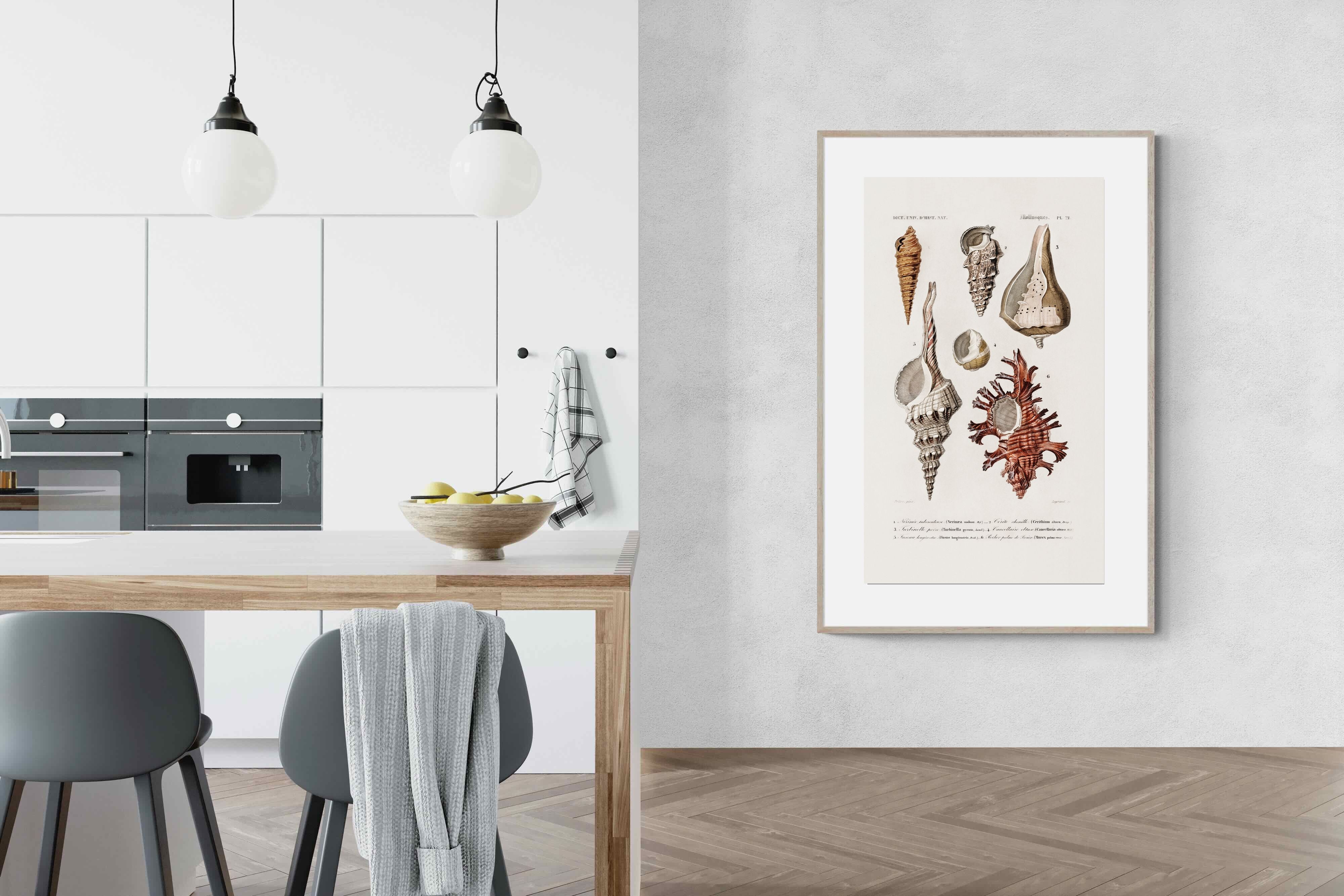 Pixalot Shell Study No. 2