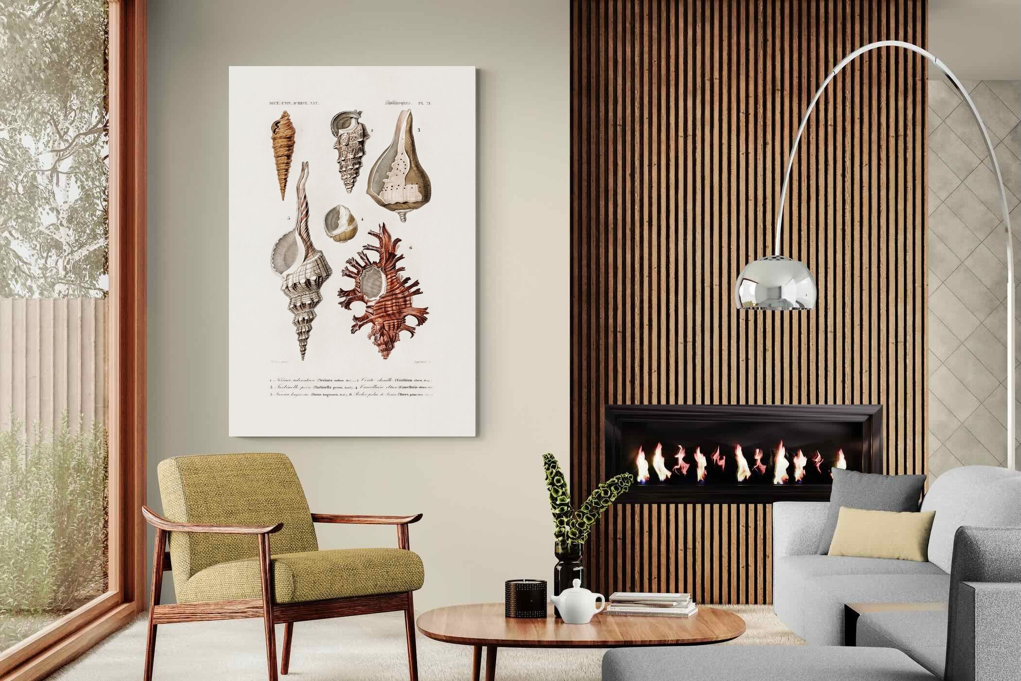 Pixalot Shell Study No. 2