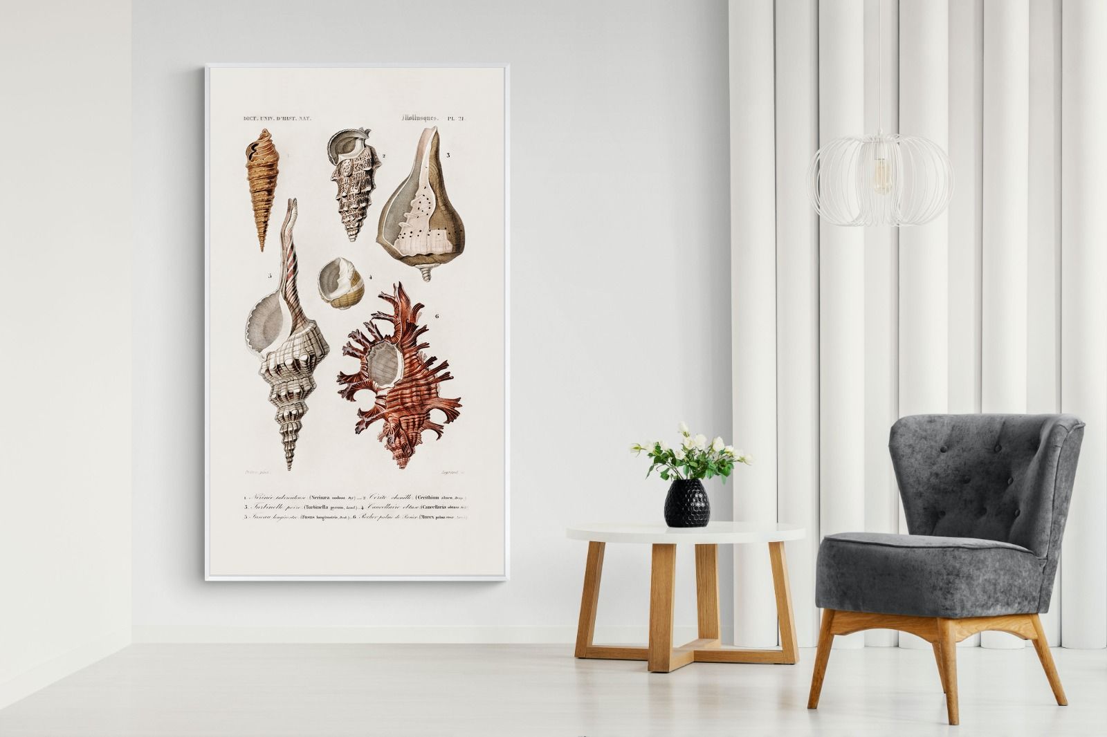 Pixalot Shell Study No. 2