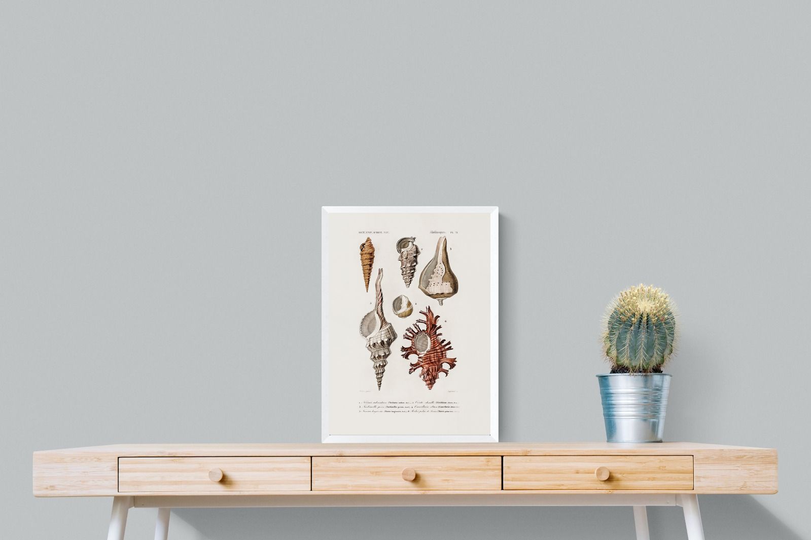 Pixalot Shell Study No. 2