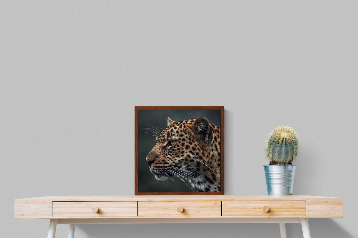 Pixalot ® Silent Hunter